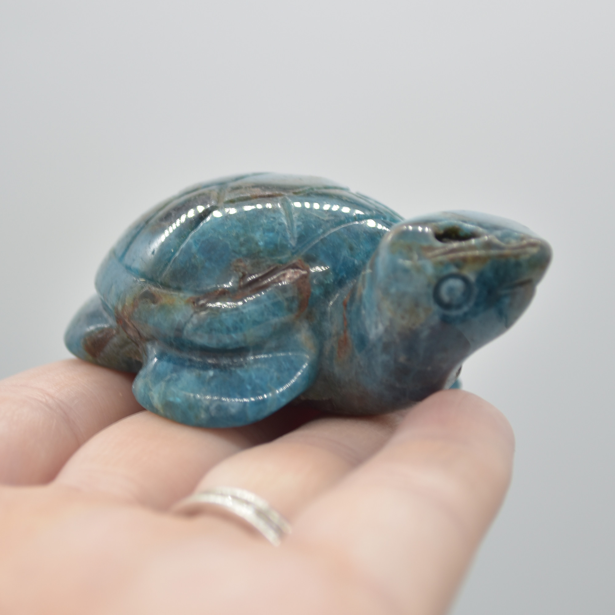 Apatite Gemstone Carved Turtle - 90 grams - 6.5cm - #02 - Image 7