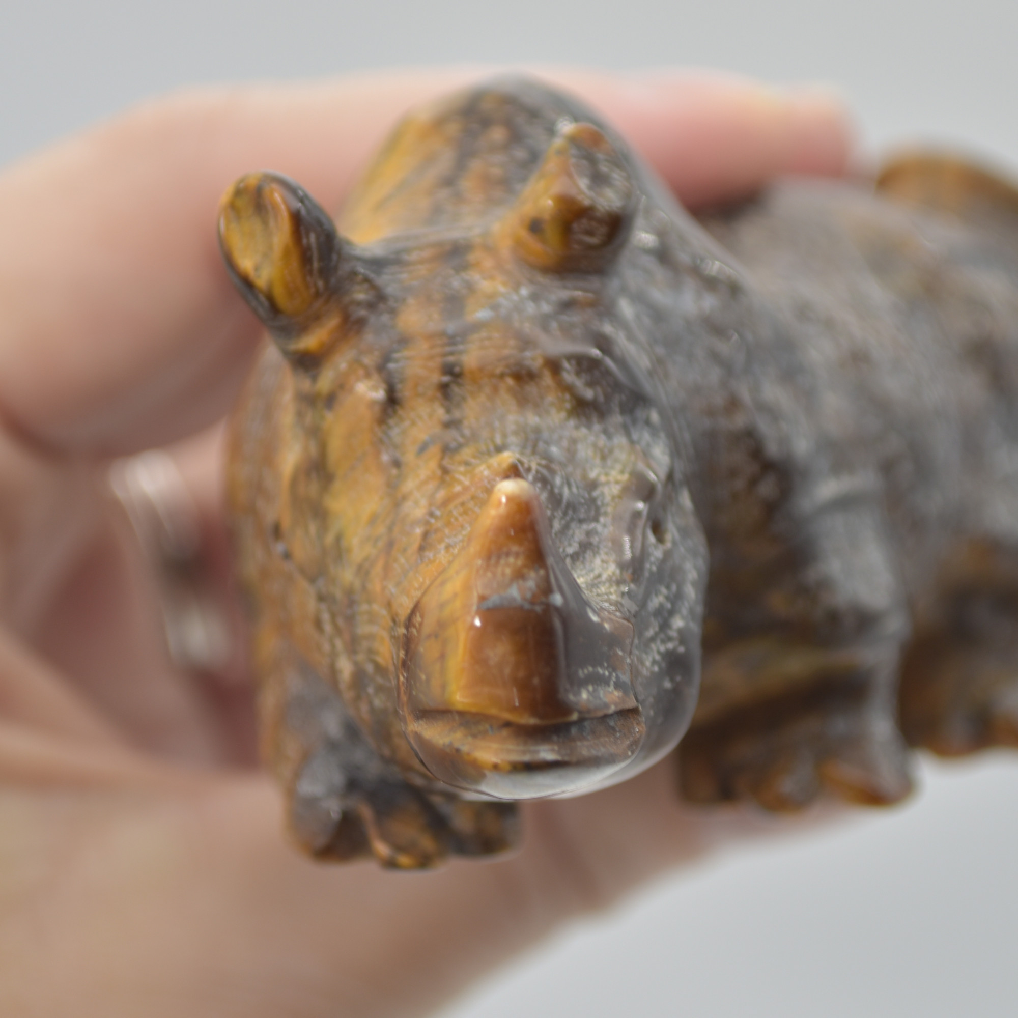 Tiger Eye Gemstone Carving - Rhino - 10.5cm - #01 - Image 8