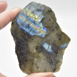 Labradorite Freeform Slice - 90 grams - #01