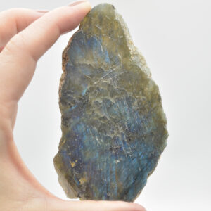 Labradorite Freeform Slice - 89 grams - #04