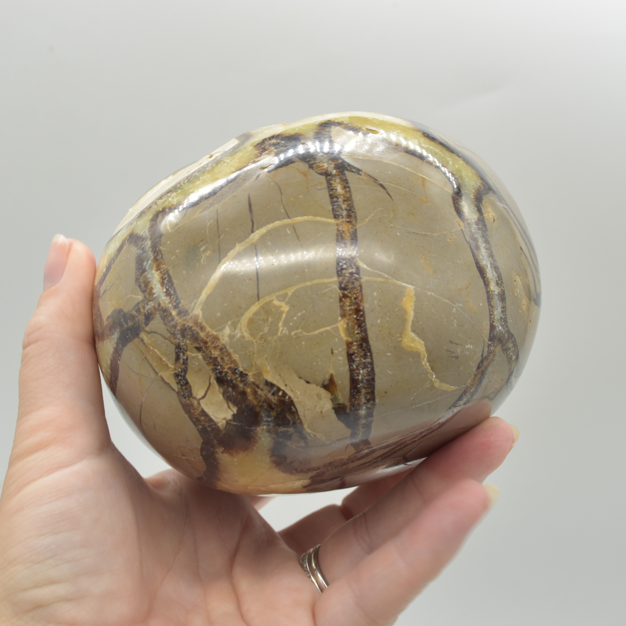 Septarian (AKA Dragon Stone) Crystal Freeform Egg - 15cm - 2099 grams #04 - Image 5