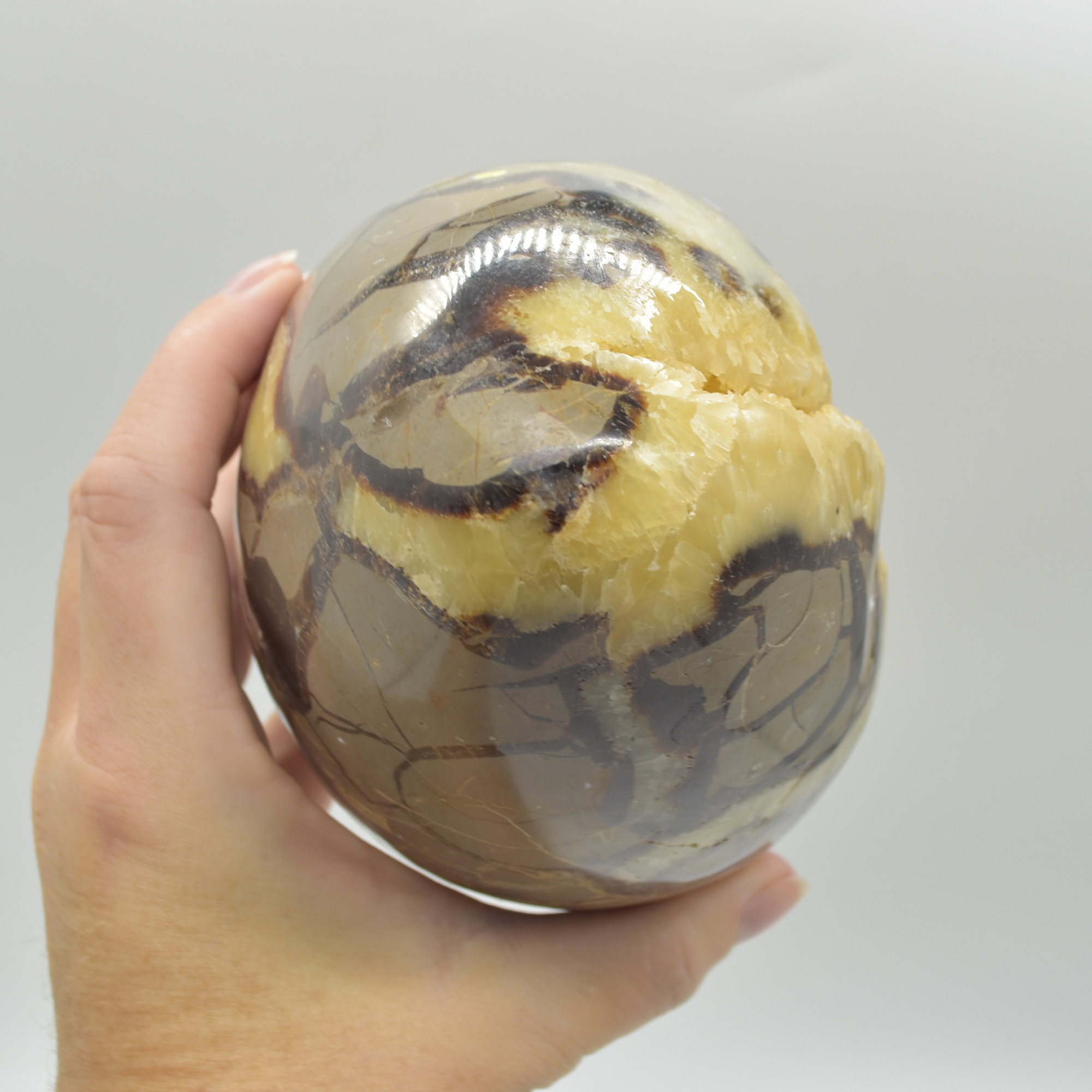 Septarian (AKA Dragon Stone) Crystal Freeform Egg - 15cm - 2099 grams #04 - Image 6