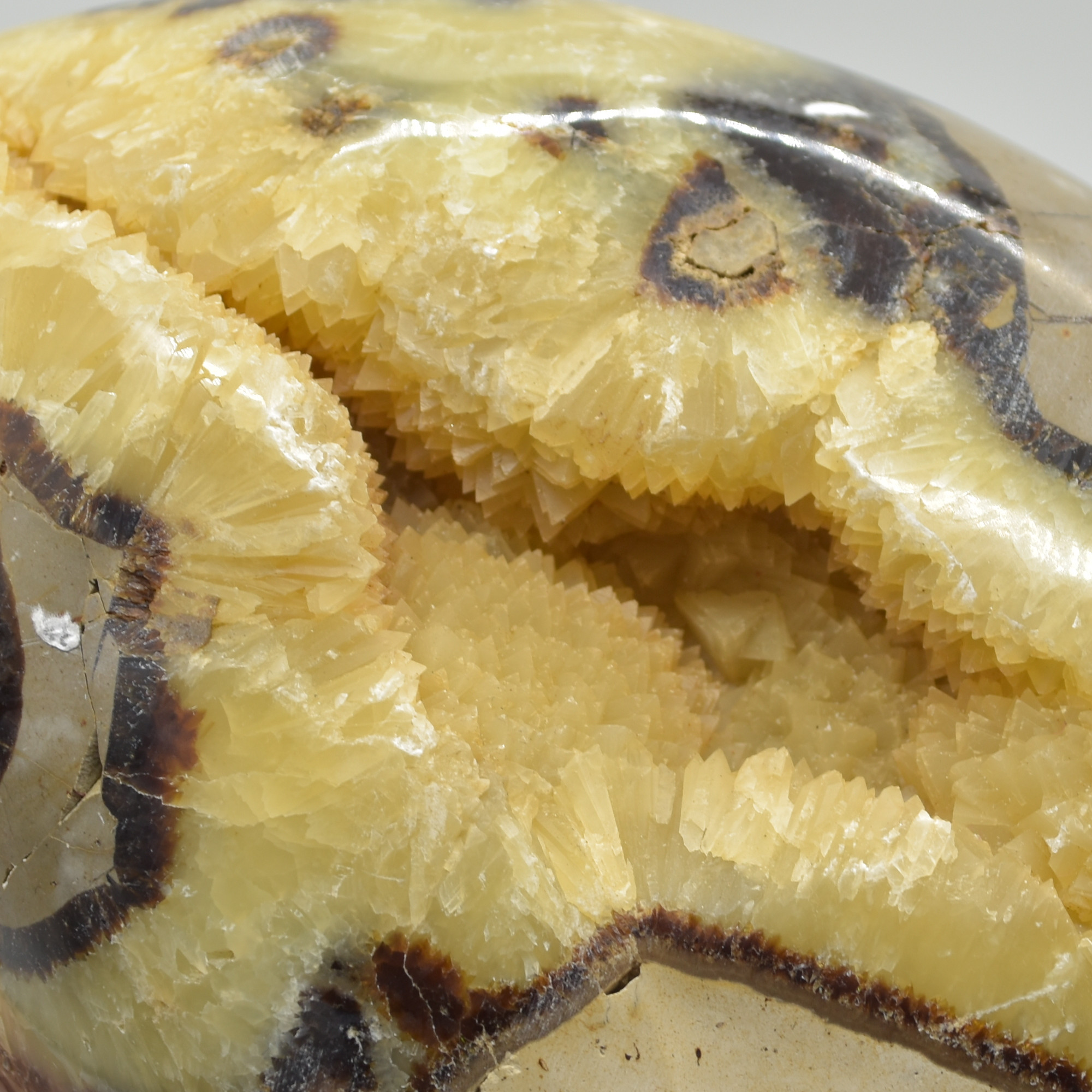 Septarian (AKA Dragon Stone) Crystal Freeform Egg - 15cm - 2099 grams #04 - Image 7