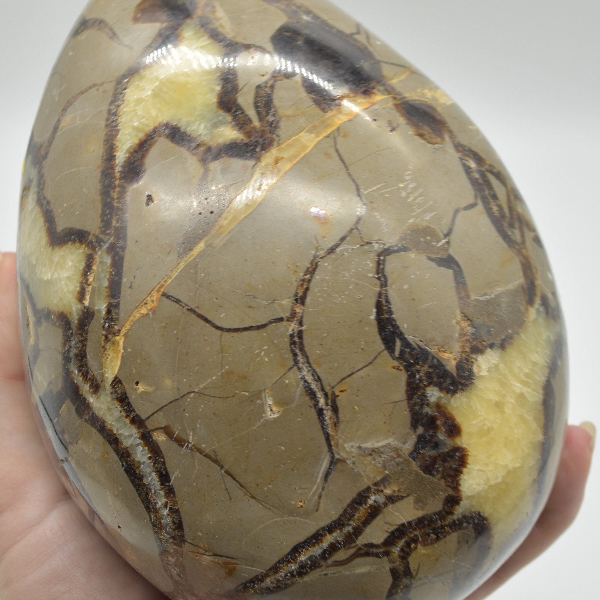 Septarian (AKA Dragon Stone) Crystal Freeform Egg - 15cm - 2099 grams #04 - Image 8