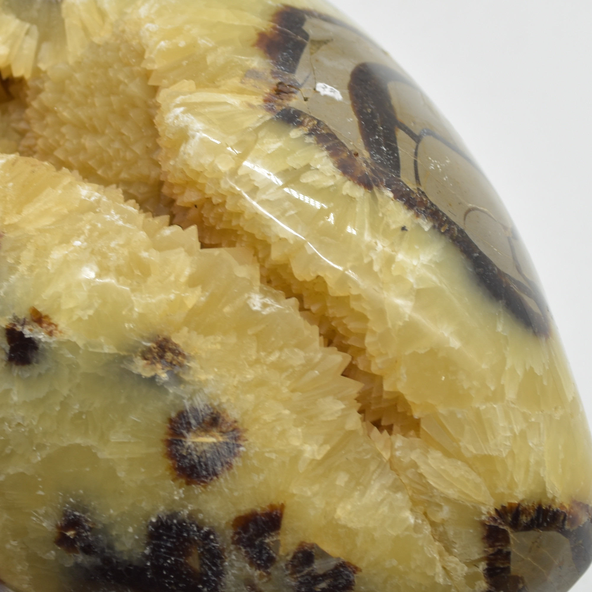 Septarian (AKA Dragon Stone) Crystal Freeform Egg - 15cm - 2099 grams #04 - Image 9