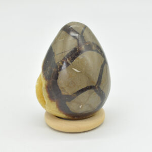 Septarian (AKA Dragon Stone) Crystal Egg - 6.5cm - 213 grams #22