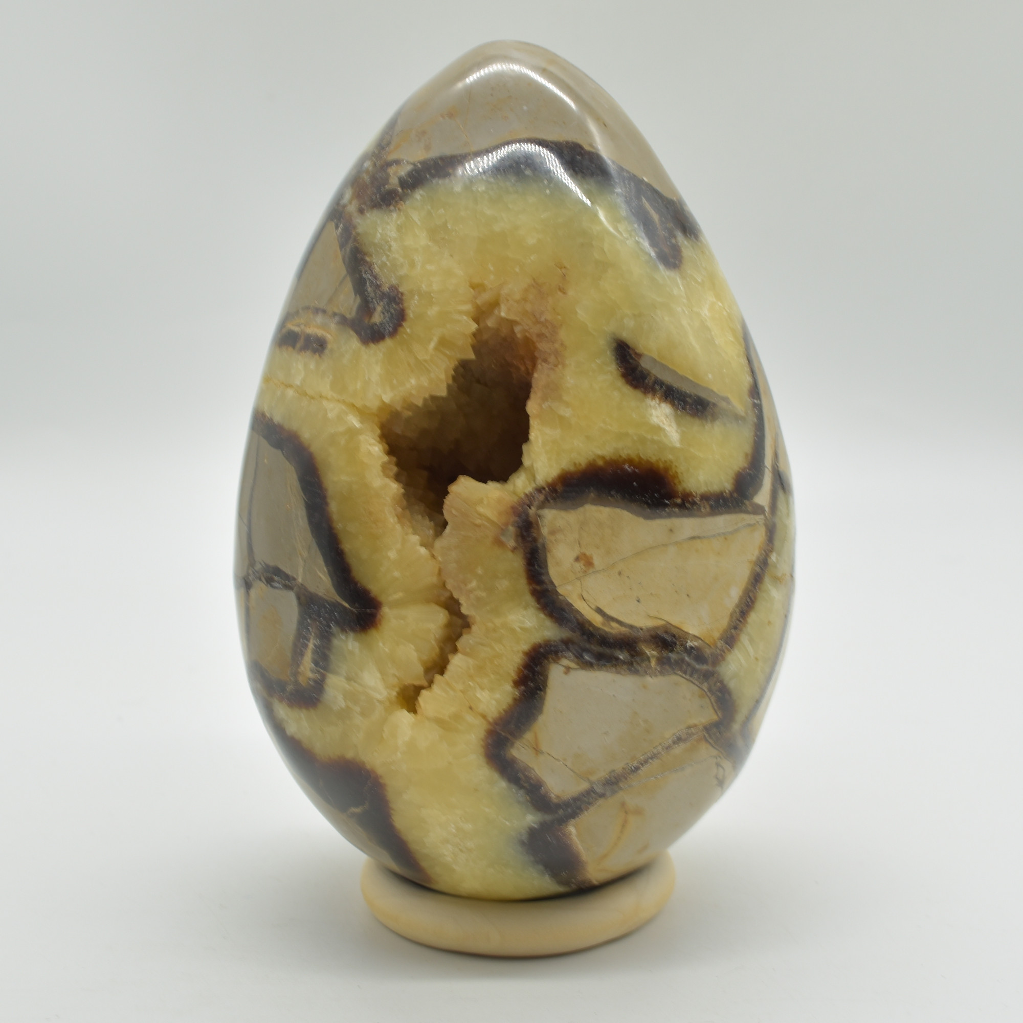 Septarian (AKA Dragon Stone) Crystal Freeform Egg - 15.5cm - 2332 grams #02
