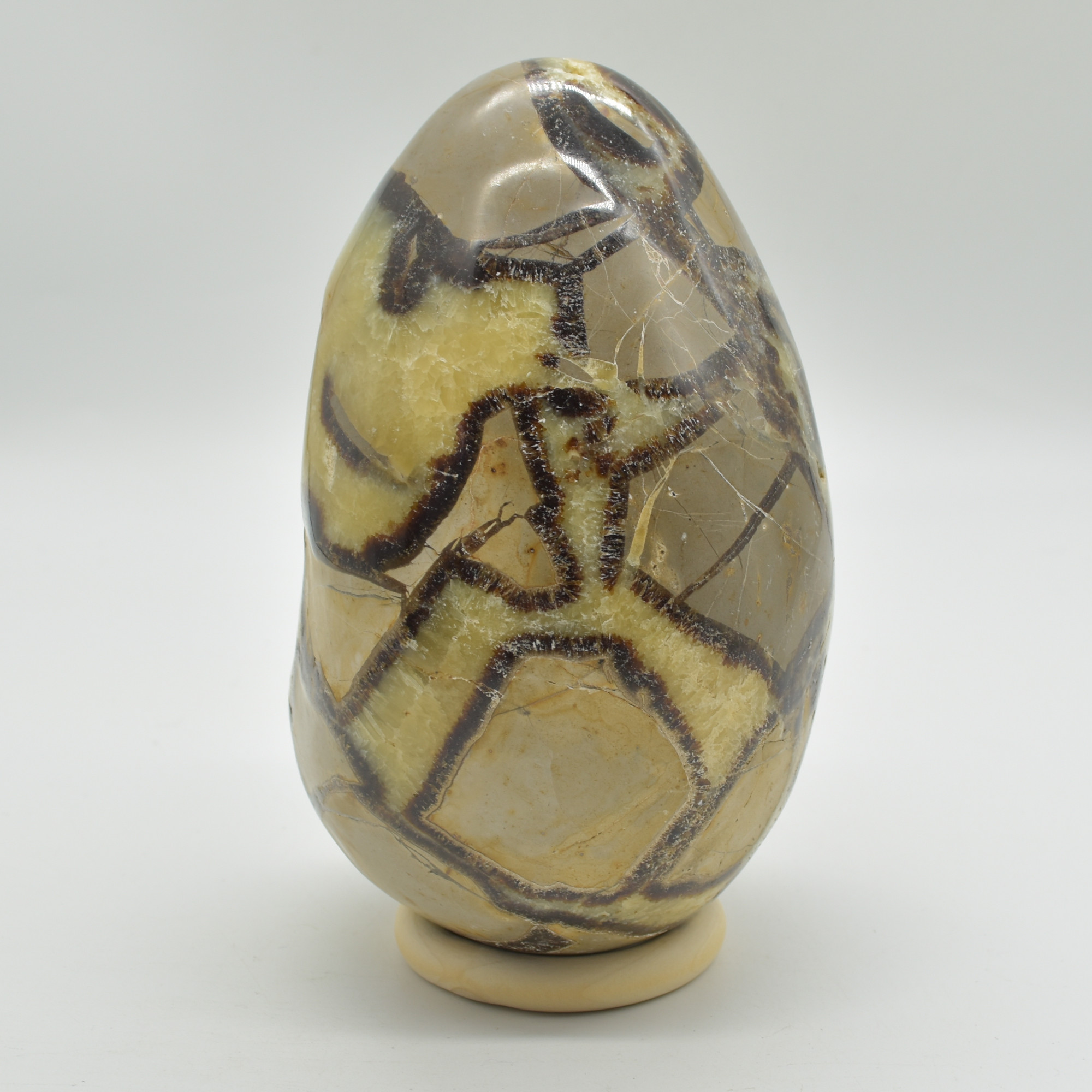 Septarian (AKA Dragon Stone) Crystal Freeform Egg - 15.5cm - 2332 grams #02 - Image 2