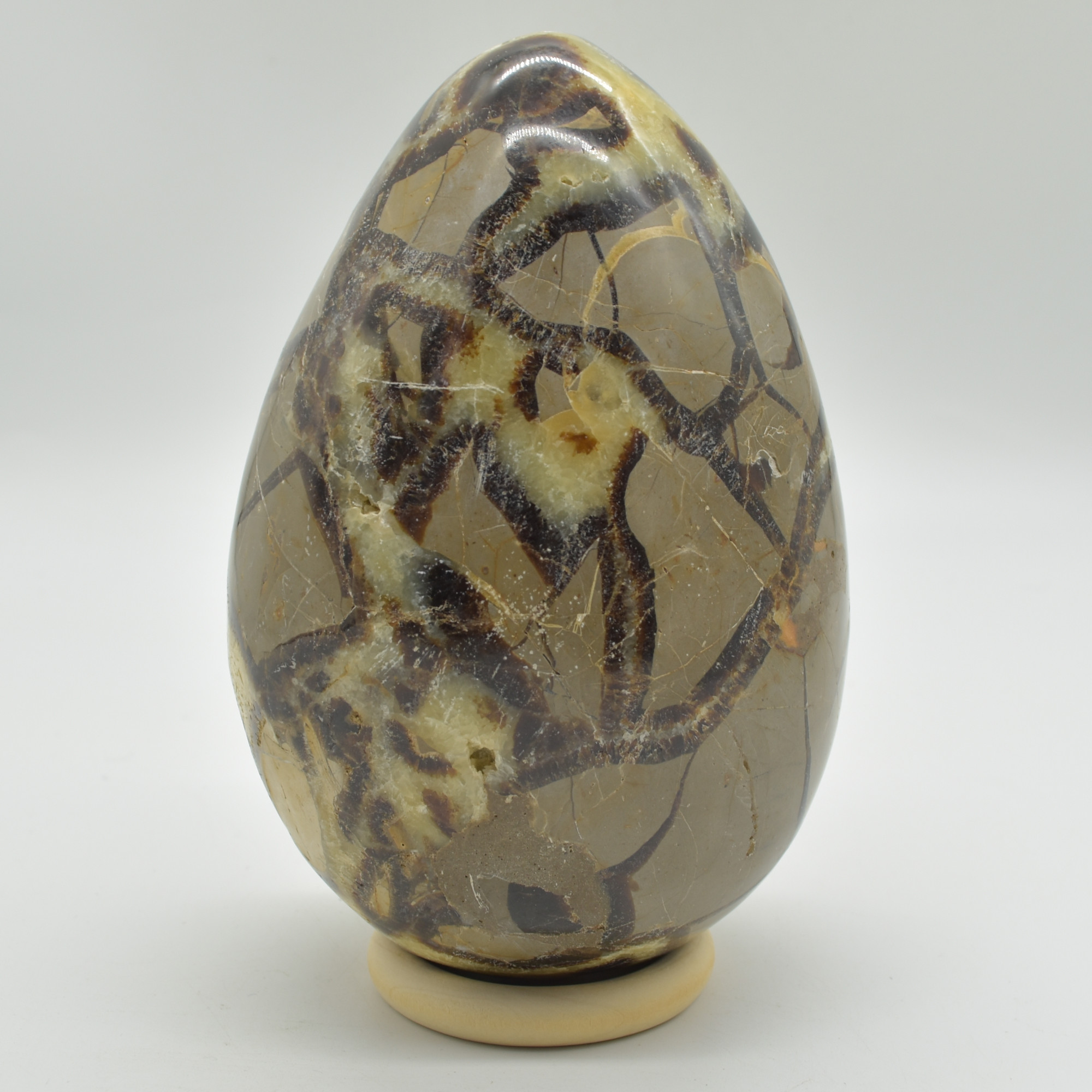 Septarian (AKA Dragon Stone) Crystal Freeform Egg - 15.5cm - 2332 grams #02 - Image 3
