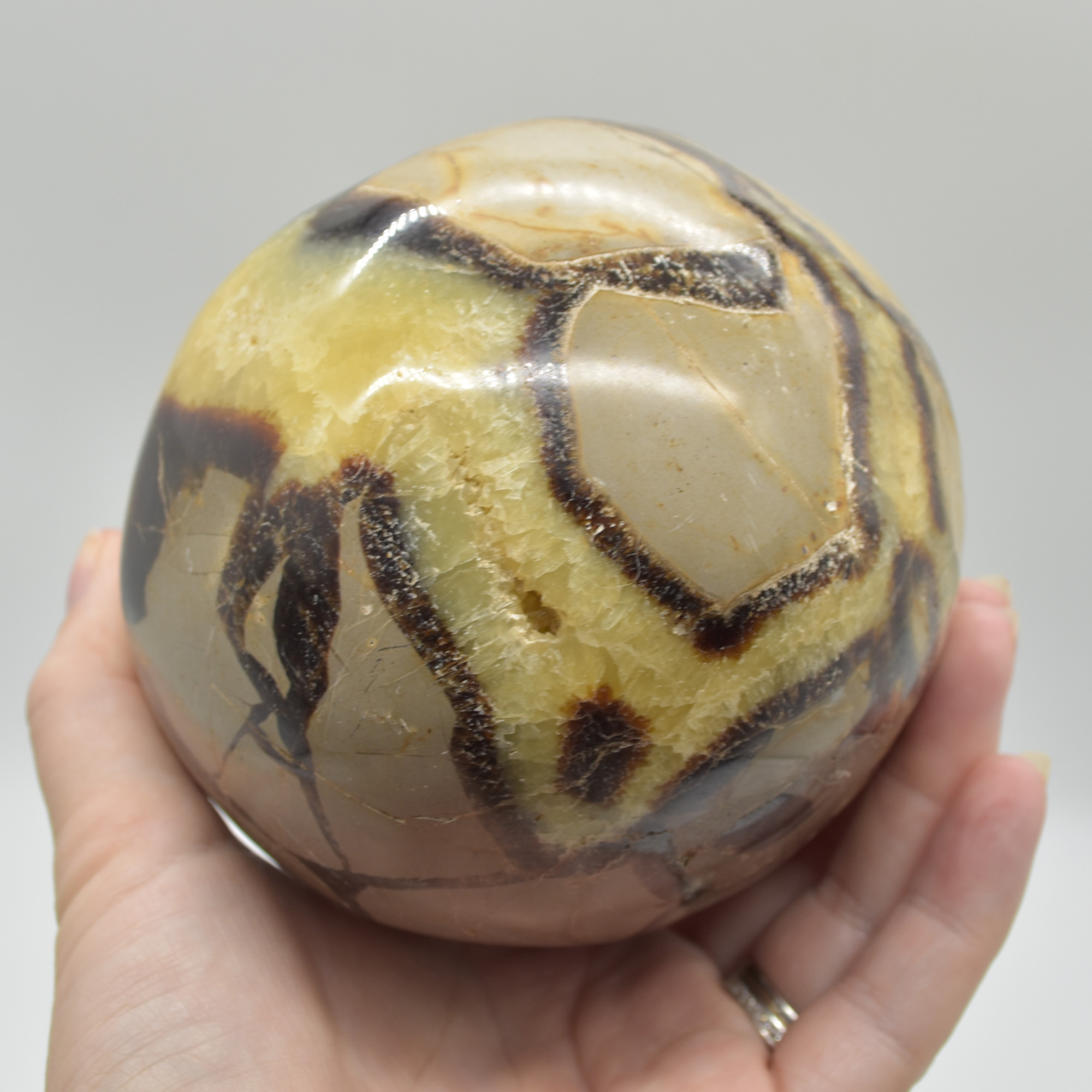 Septarian (AKA Dragon Stone) Crystal Freeform Egg - 15.5cm - 2332 grams #02 - Image 5