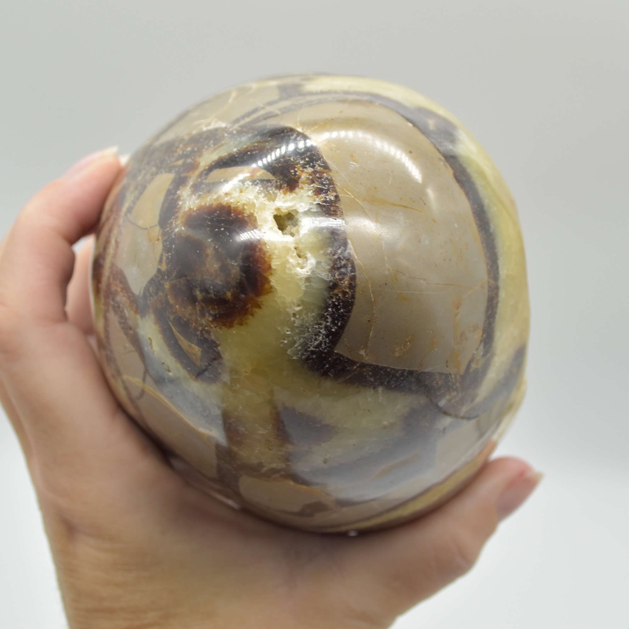 Septarian (AKA Dragon Stone) Crystal Freeform Egg - 15.5cm - 2332 grams #02 - Image 6