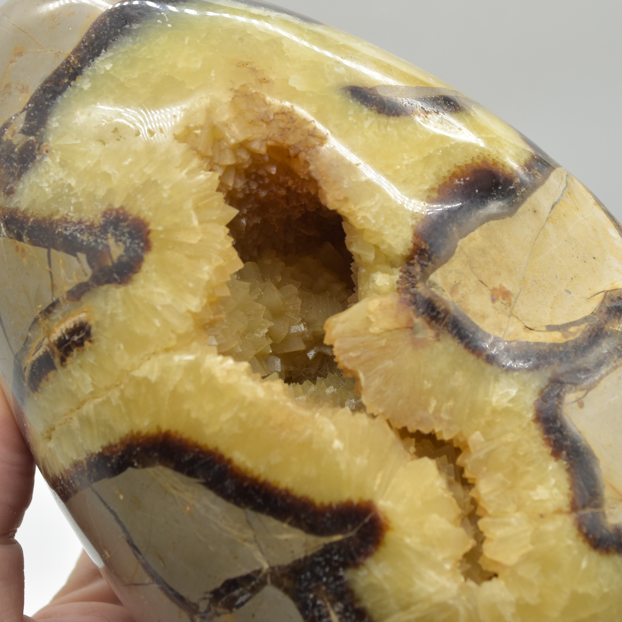 Septarian (AKA Dragon Stone) Crystal Freeform Egg - 15.5cm - 2332 grams #02 - Image 7