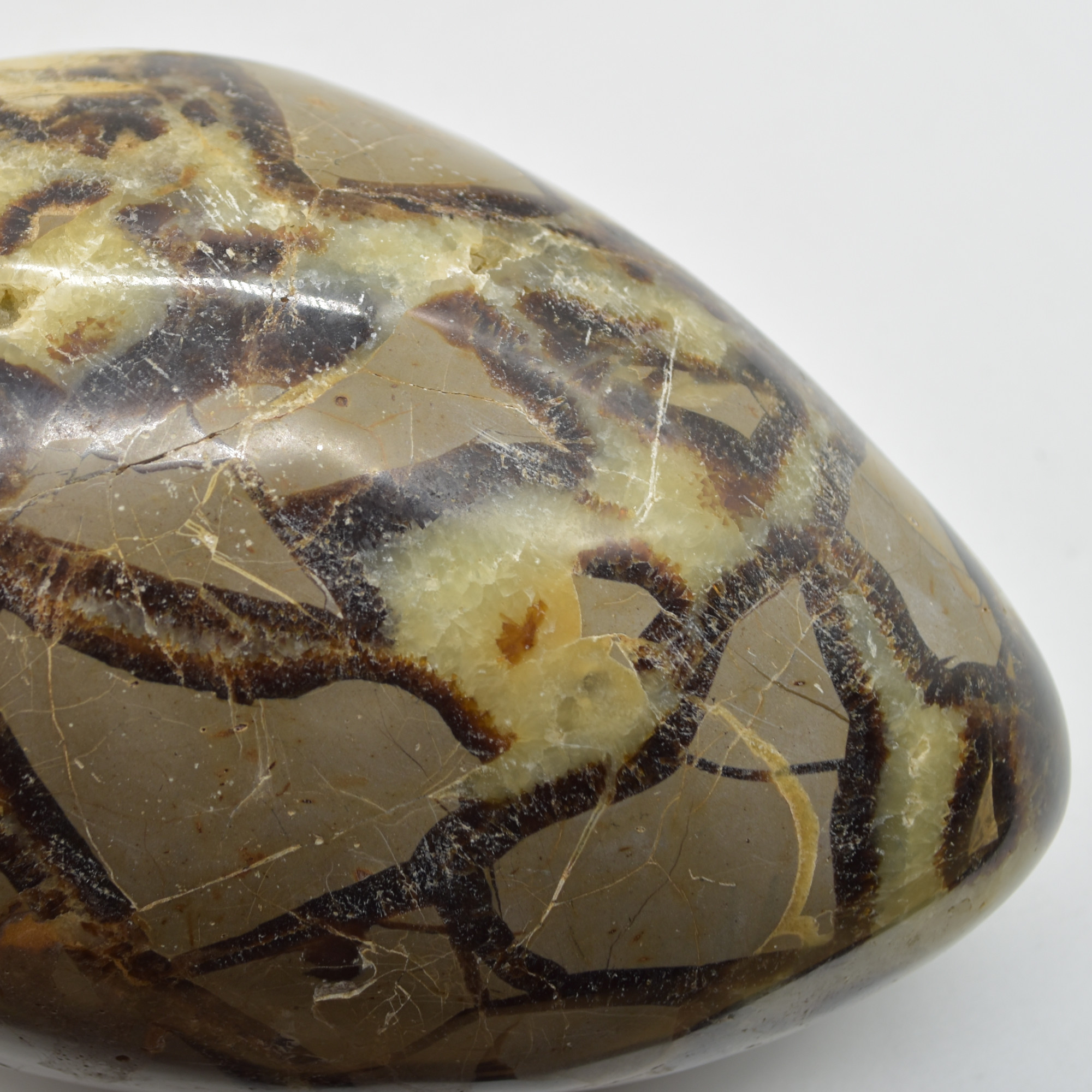 Septarian (AKA Dragon Stone) Crystal Freeform Egg - 15.5cm - 2332 grams #02 - Image 8