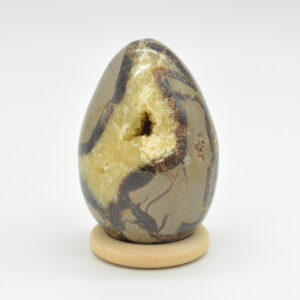 Septarian (AKA Dragon Stone) Crystal Egg - 7cm - 237 grams #24