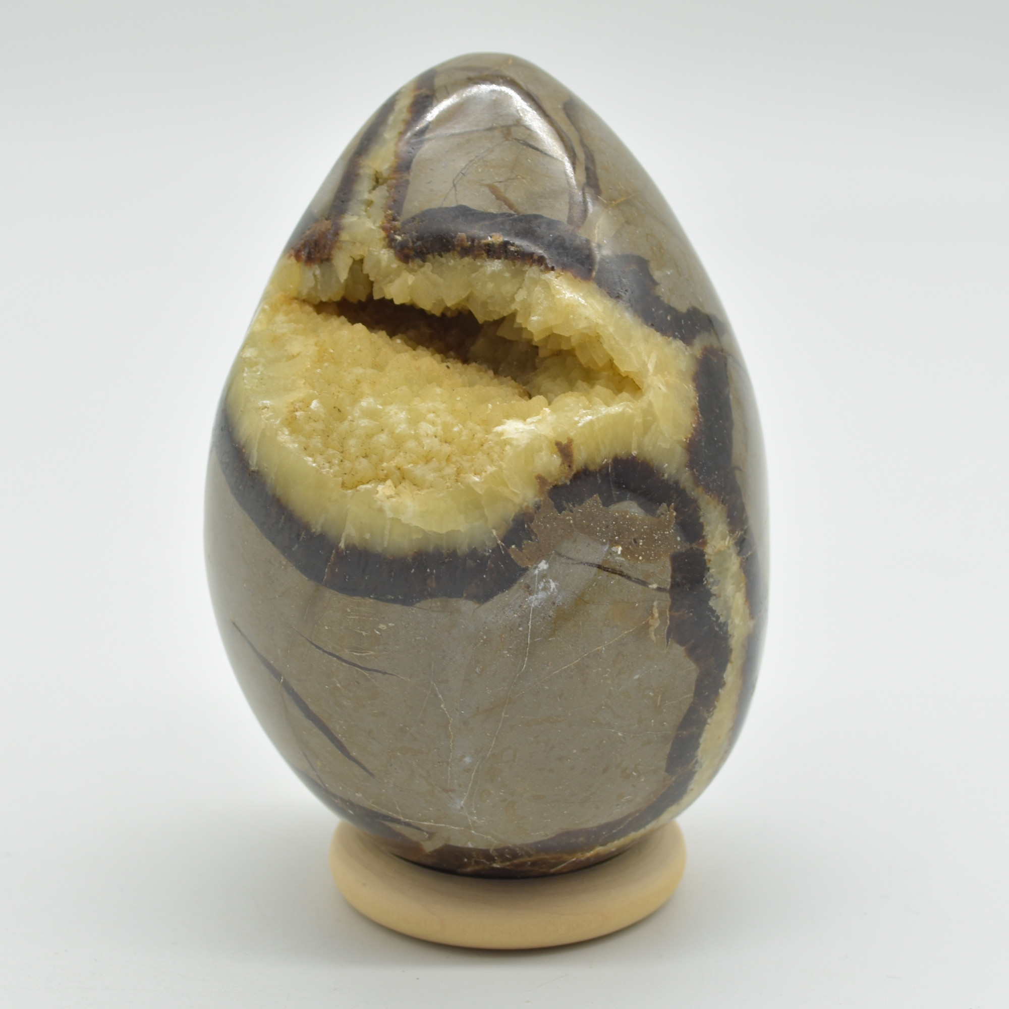 Septarian (AKA Dragon Stone) Crystal Egg - 9cm - 577 grams #13