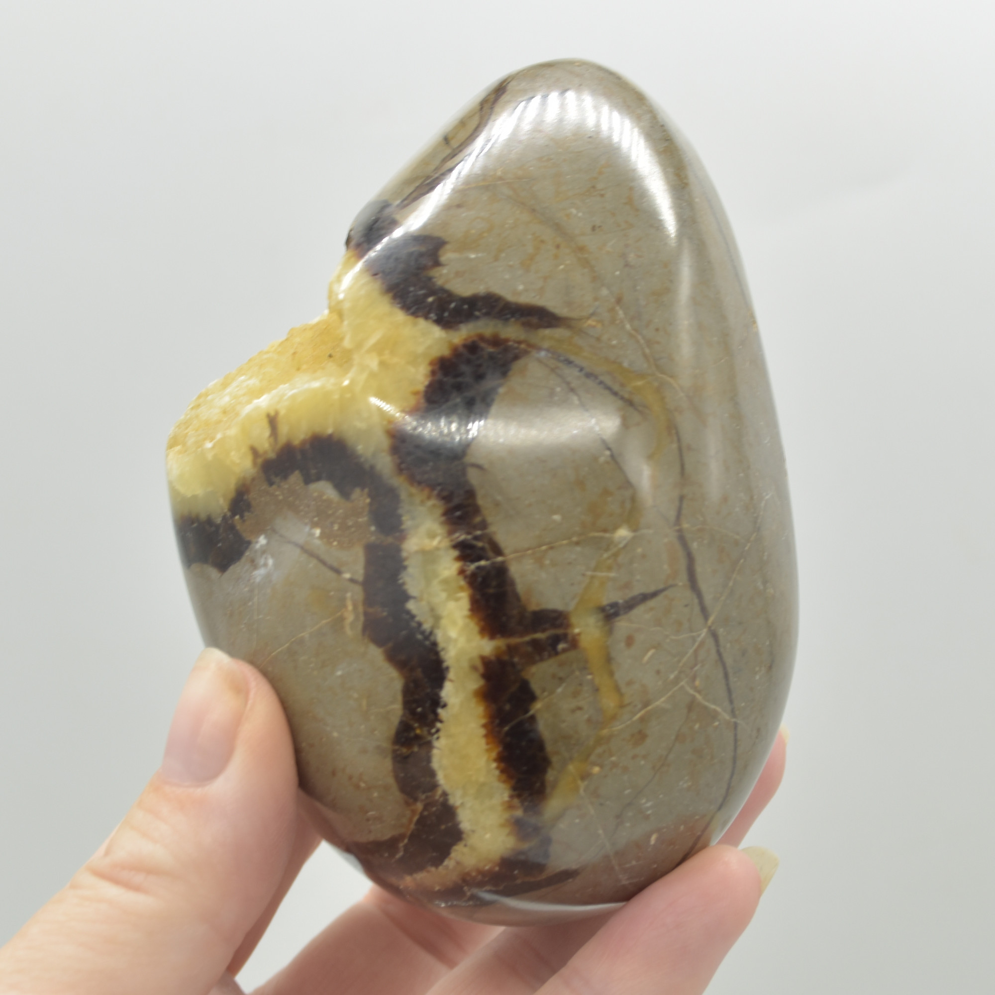 Septarian (AKA Dragon Stone) Crystal Egg - 9cm - 577 grams #13 - Image 4