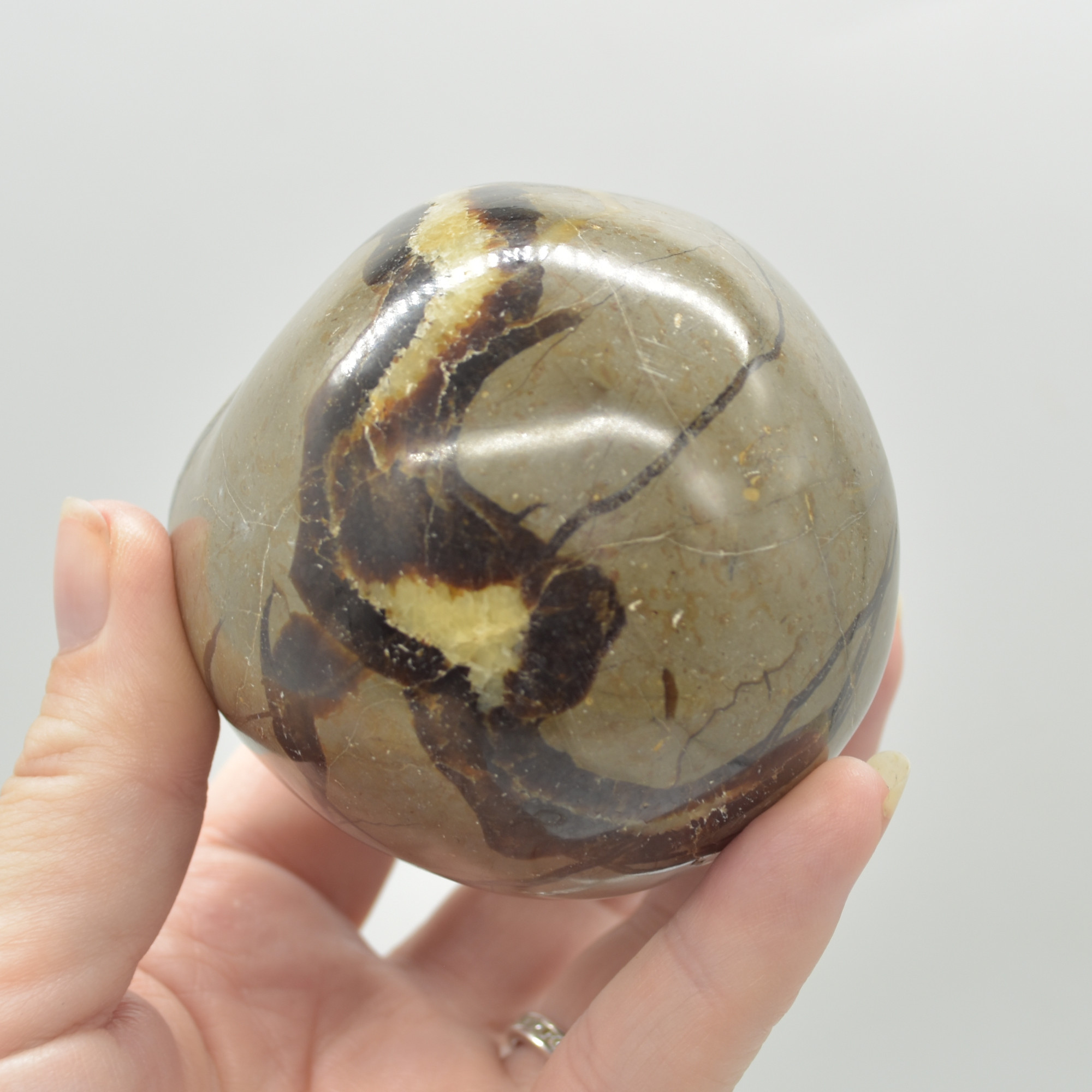Septarian (AKA Dragon Stone) Crystal Egg - 9cm - 577 grams #13 - Image 5