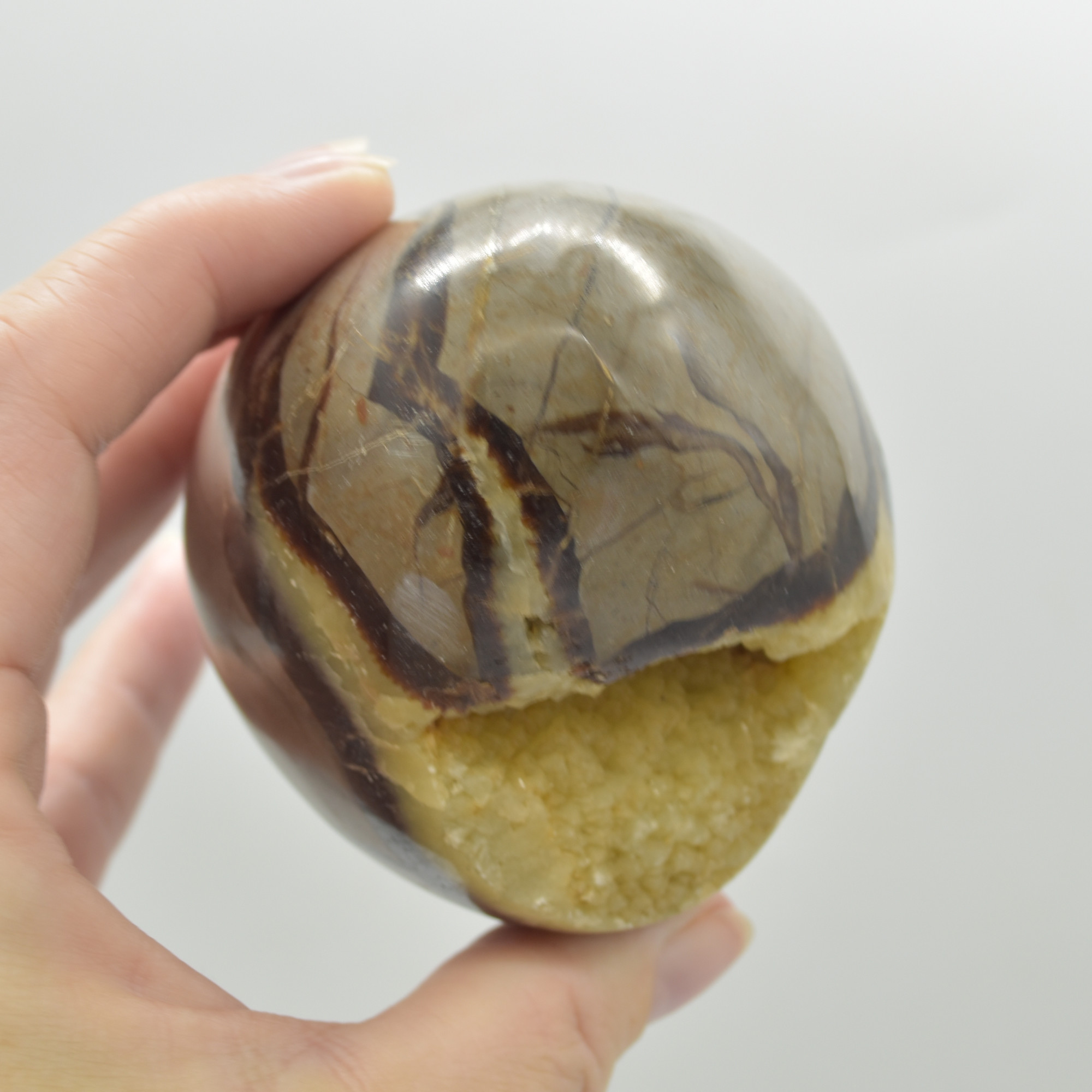 Septarian (AKA Dragon Stone) Crystal Egg - 9cm - 577 grams #13 - Image 6