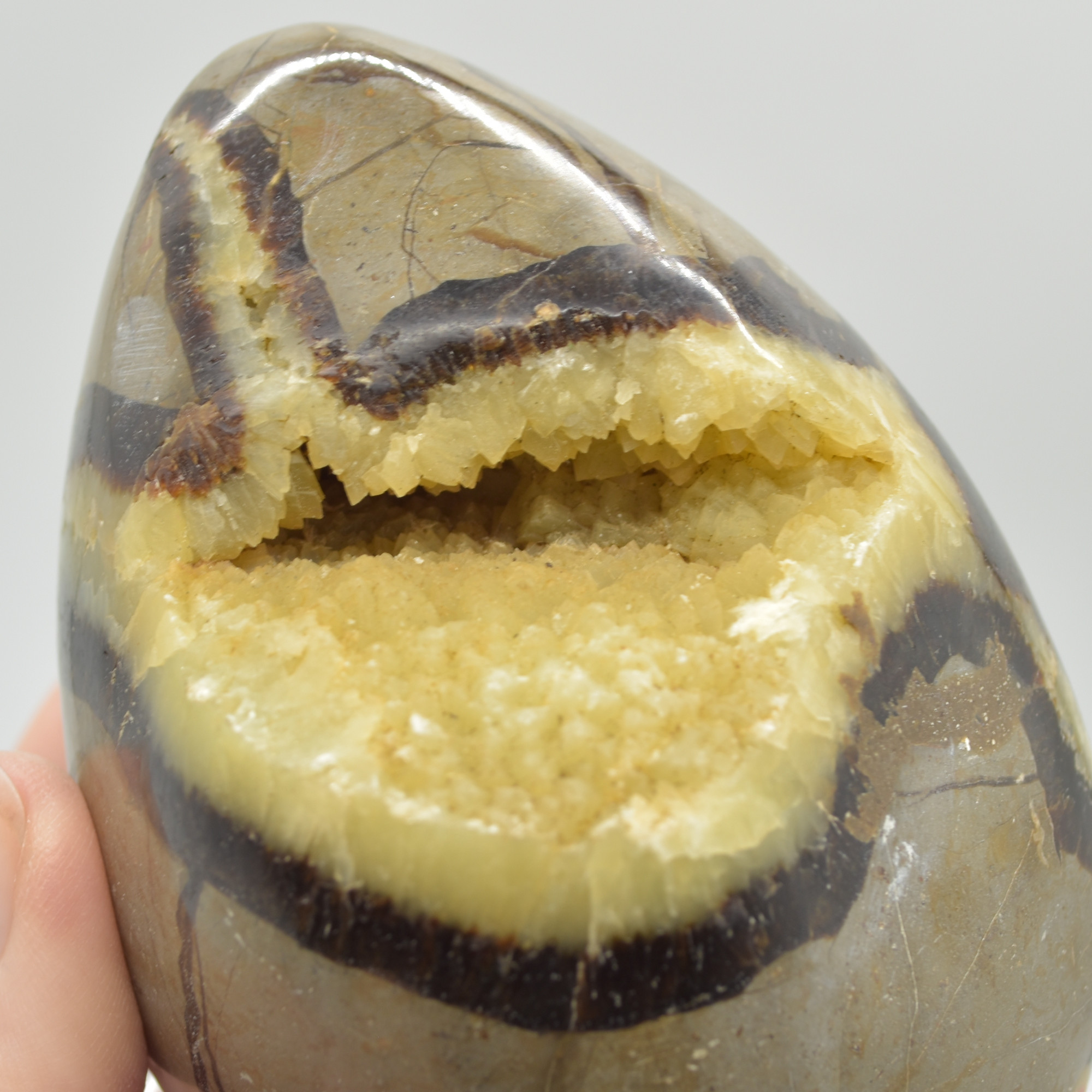 Septarian (AKA Dragon Stone) Crystal Egg - 9cm - 577 grams #13 - Image 7