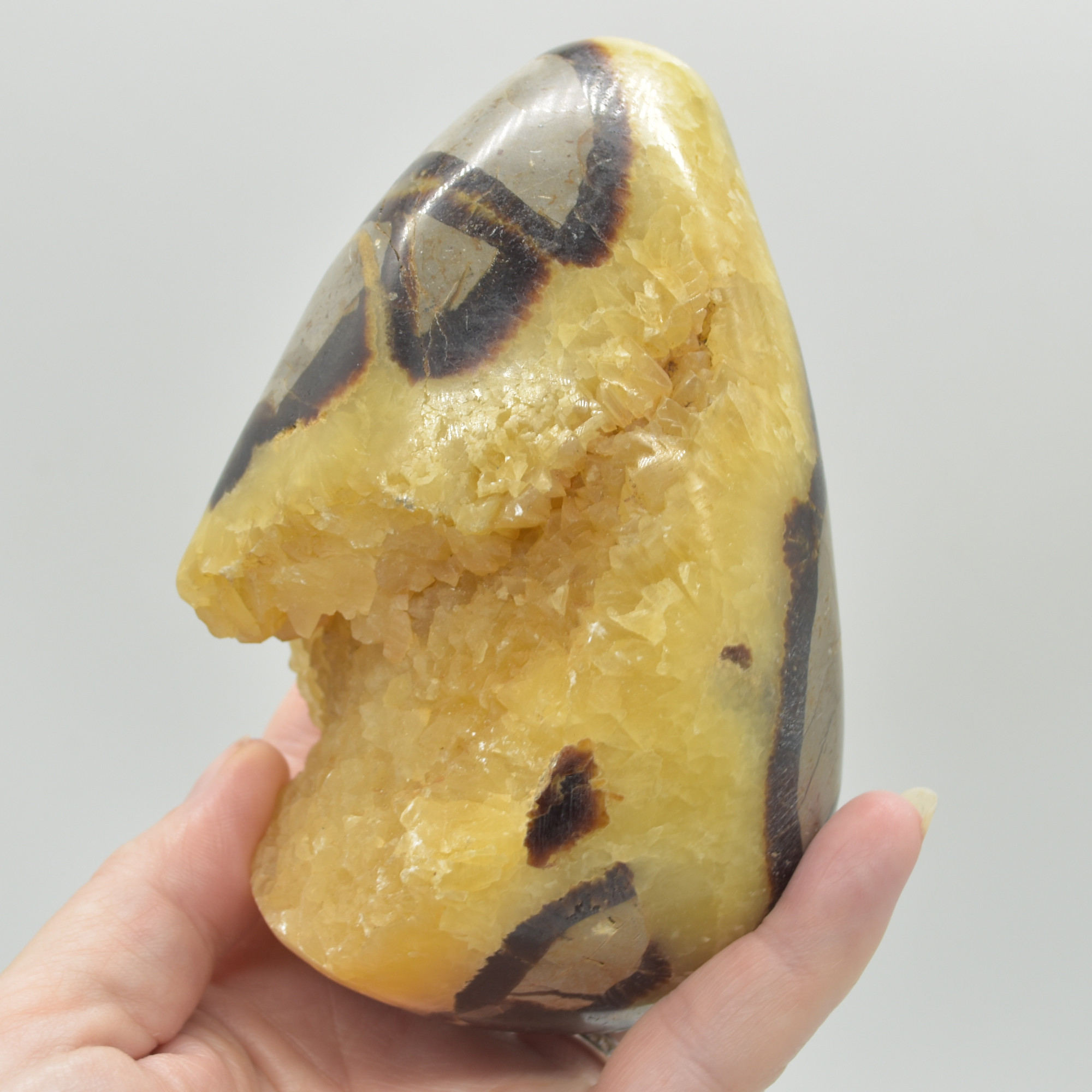 Septarian (AKA Dragon Stone) Crystal Egg - 11.5cm - 748 grams #10 - Image 4
