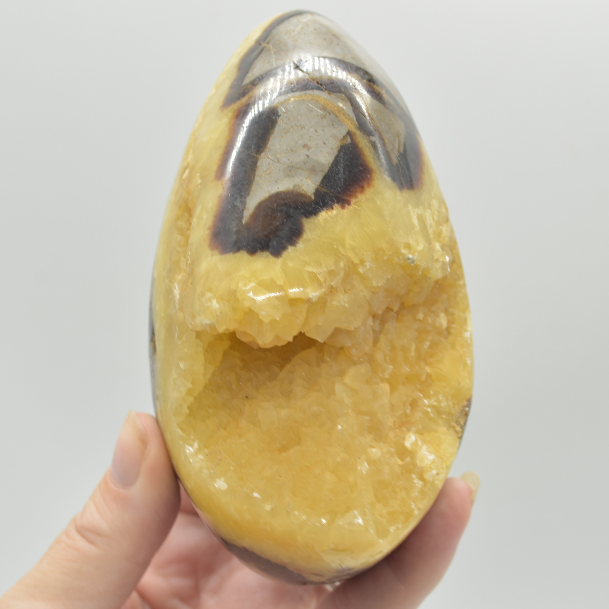 Septarian (AKA Dragon Stone) Crystal Egg - 11.5cm - 748 grams #10 - Image 5