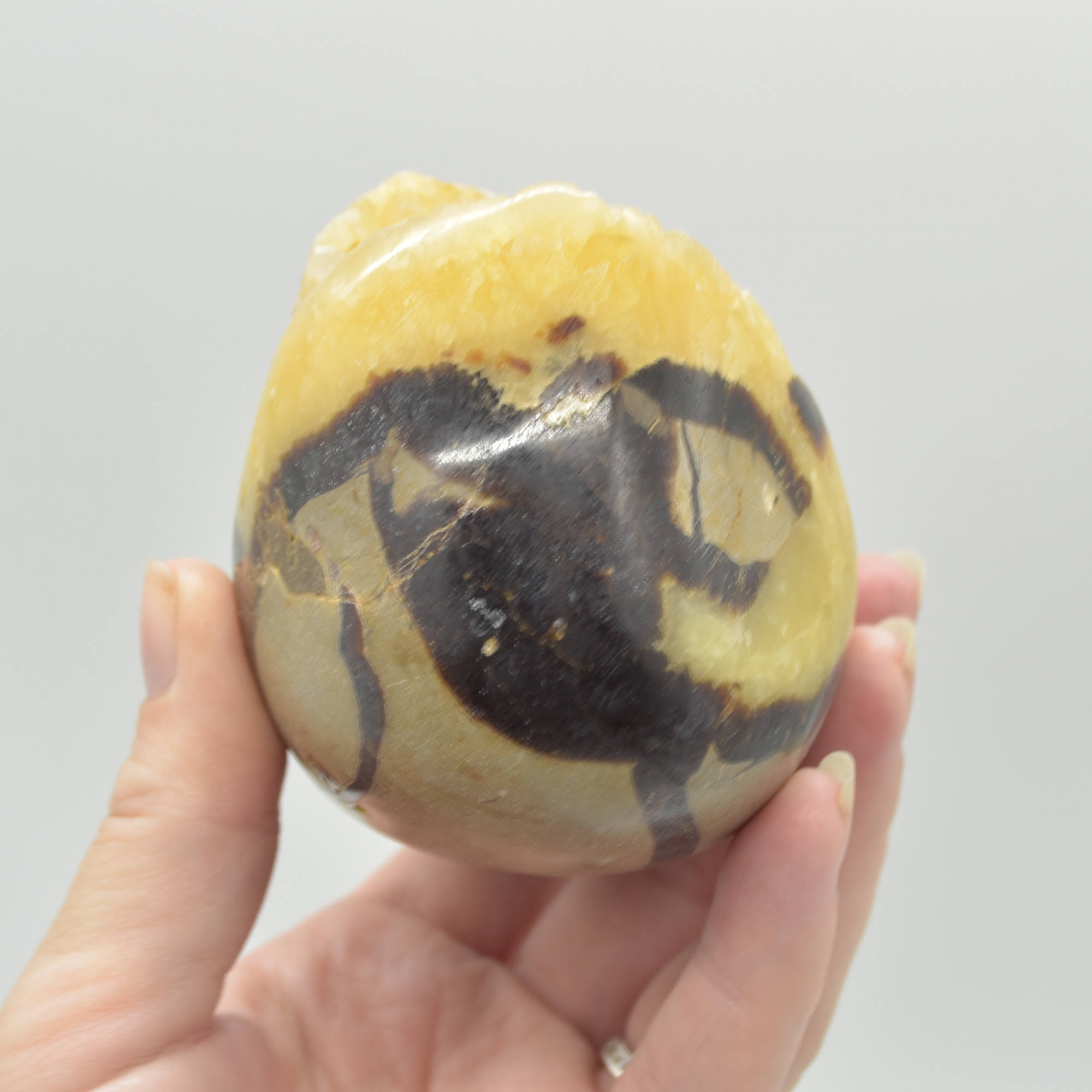 Septarian (AKA Dragon Stone) Crystal Egg - 11.5cm - 748 grams #10 - Image 6