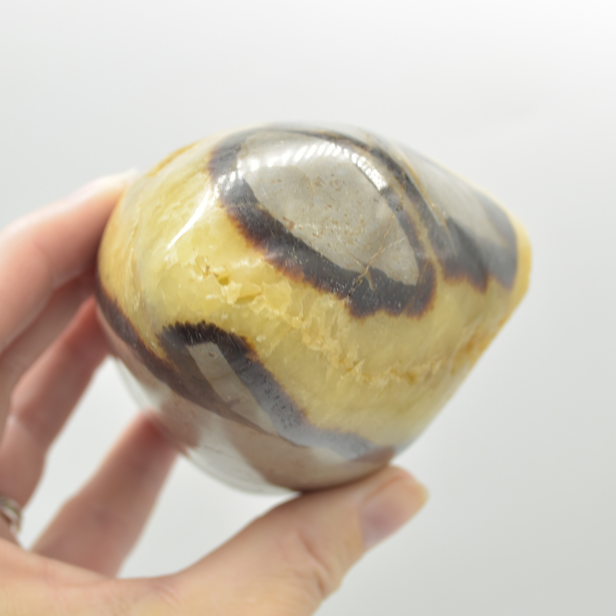 Septarian (AKA Dragon Stone) Crystal Egg - 11.5cm - 748 grams #10 - Image 7