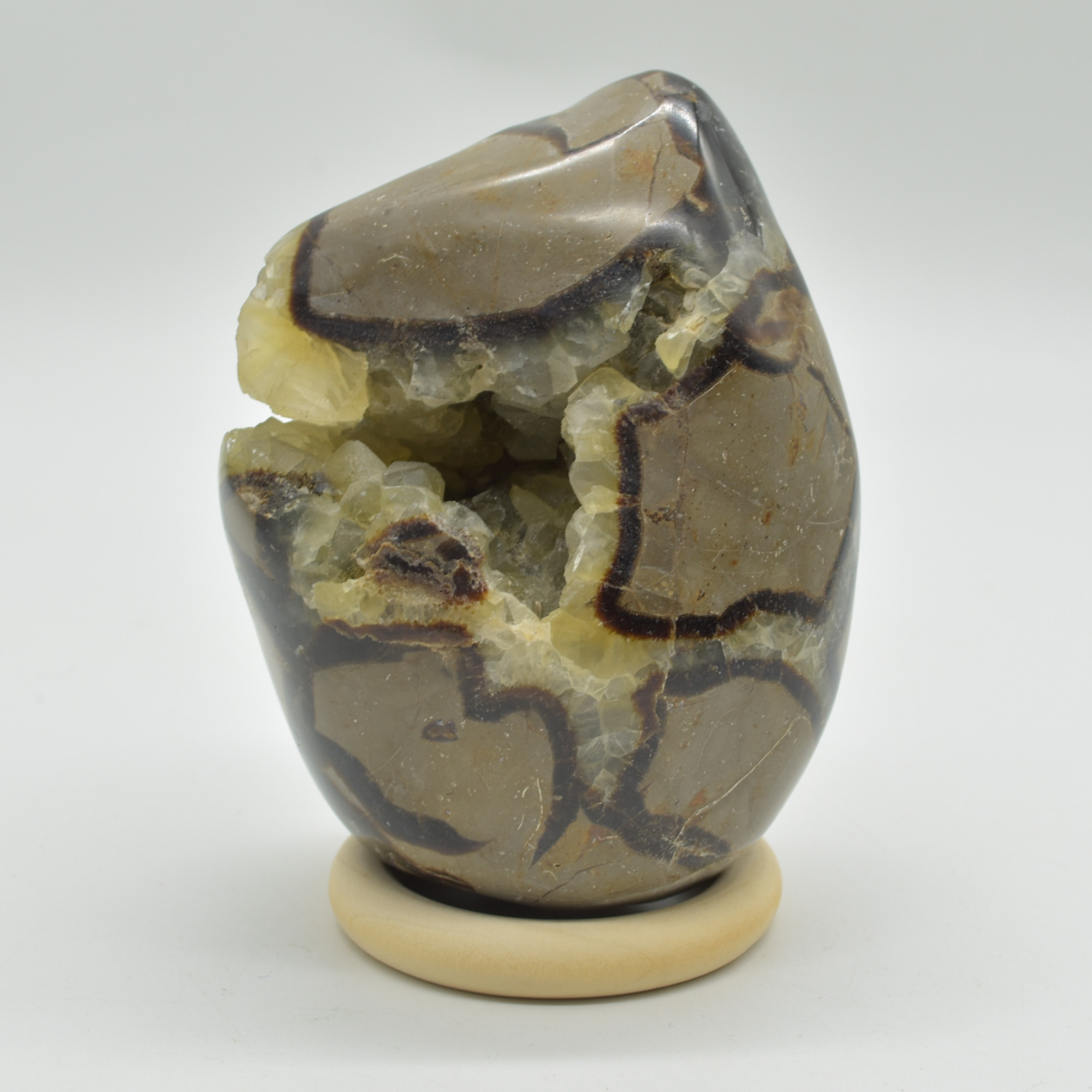 Septarian (AKA Dragon Stone) Crystal Freeform Egg - 11cm - 827 grams #03