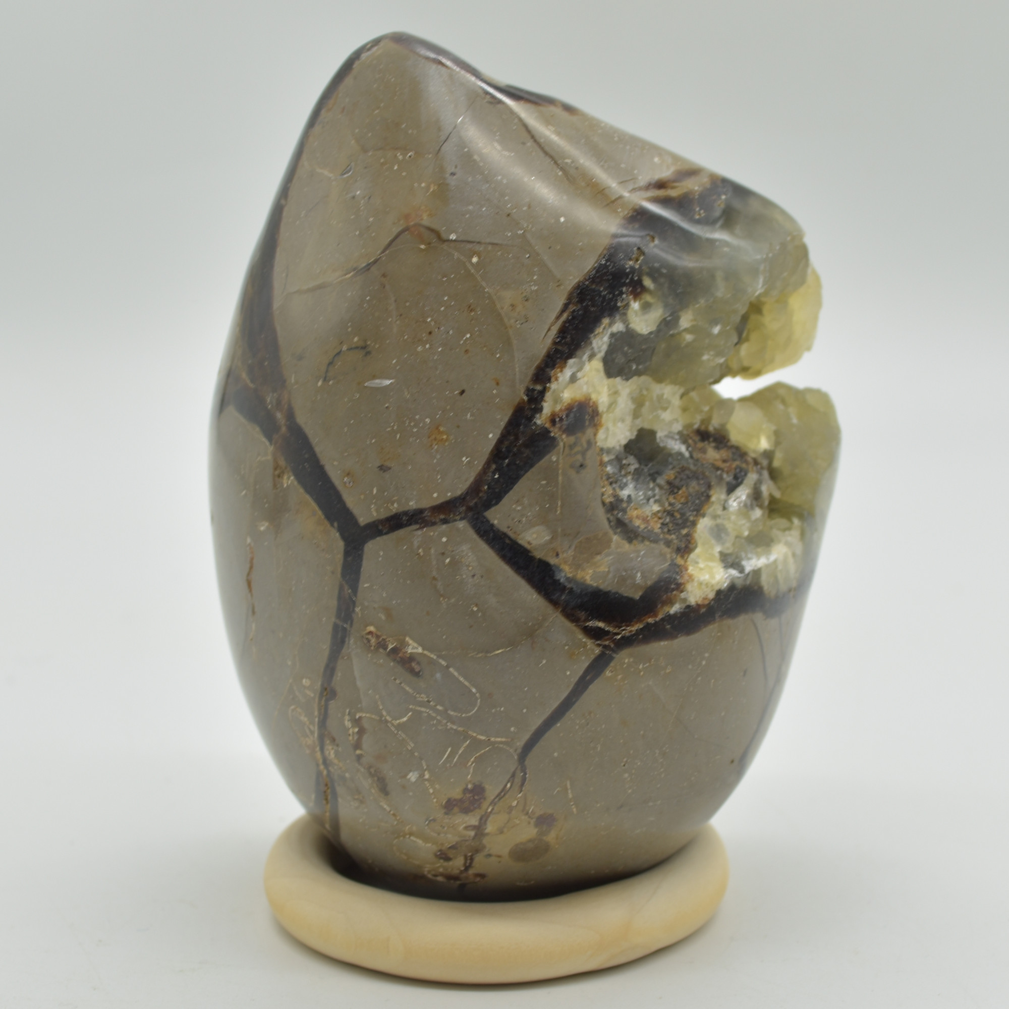 Septarian (AKA Dragon Stone) Crystal Freeform Egg - 11cm - 827 grams #03 - Image 2