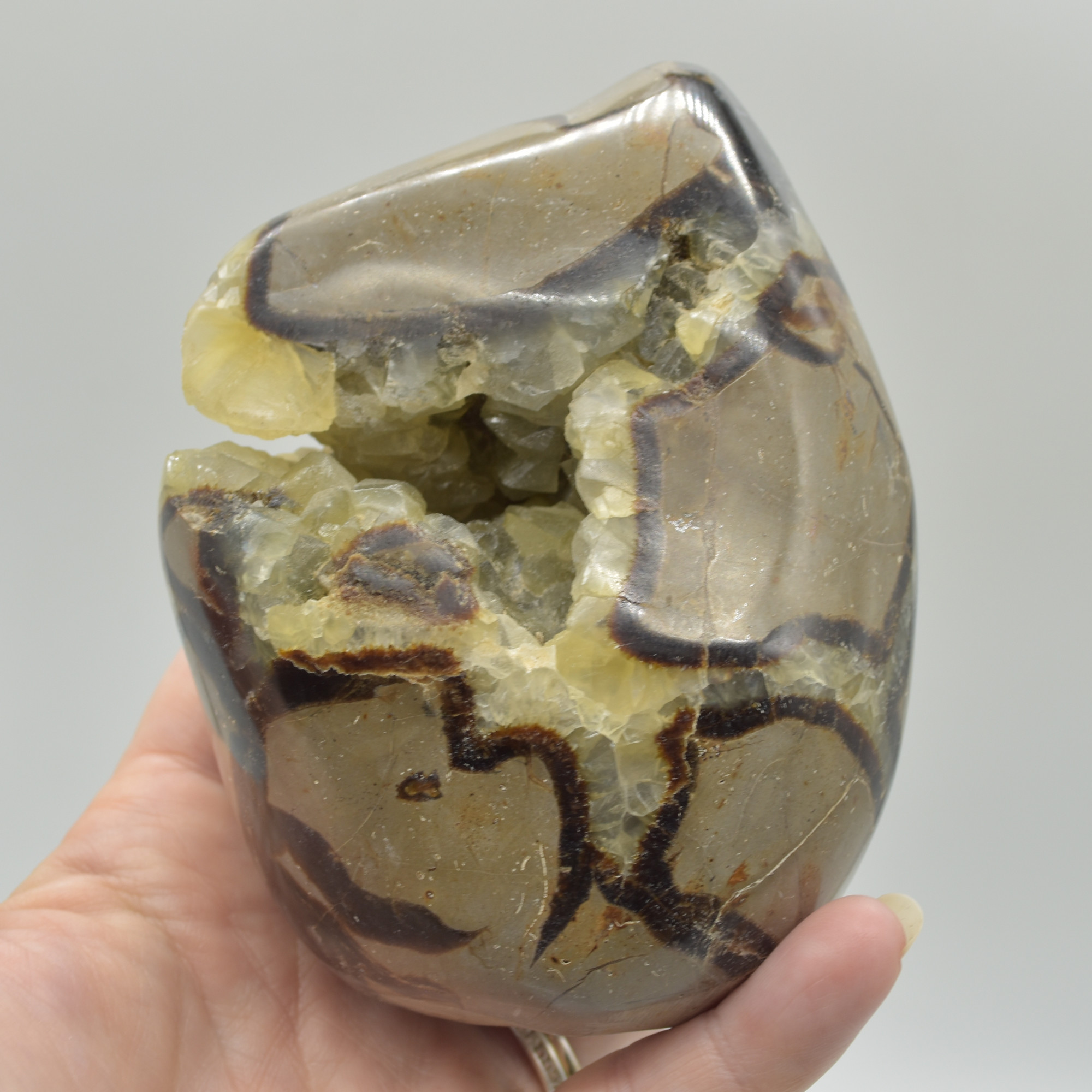 Septarian (AKA Dragon Stone) Crystal Freeform Egg - 11cm - 827 grams #03 - Image 4