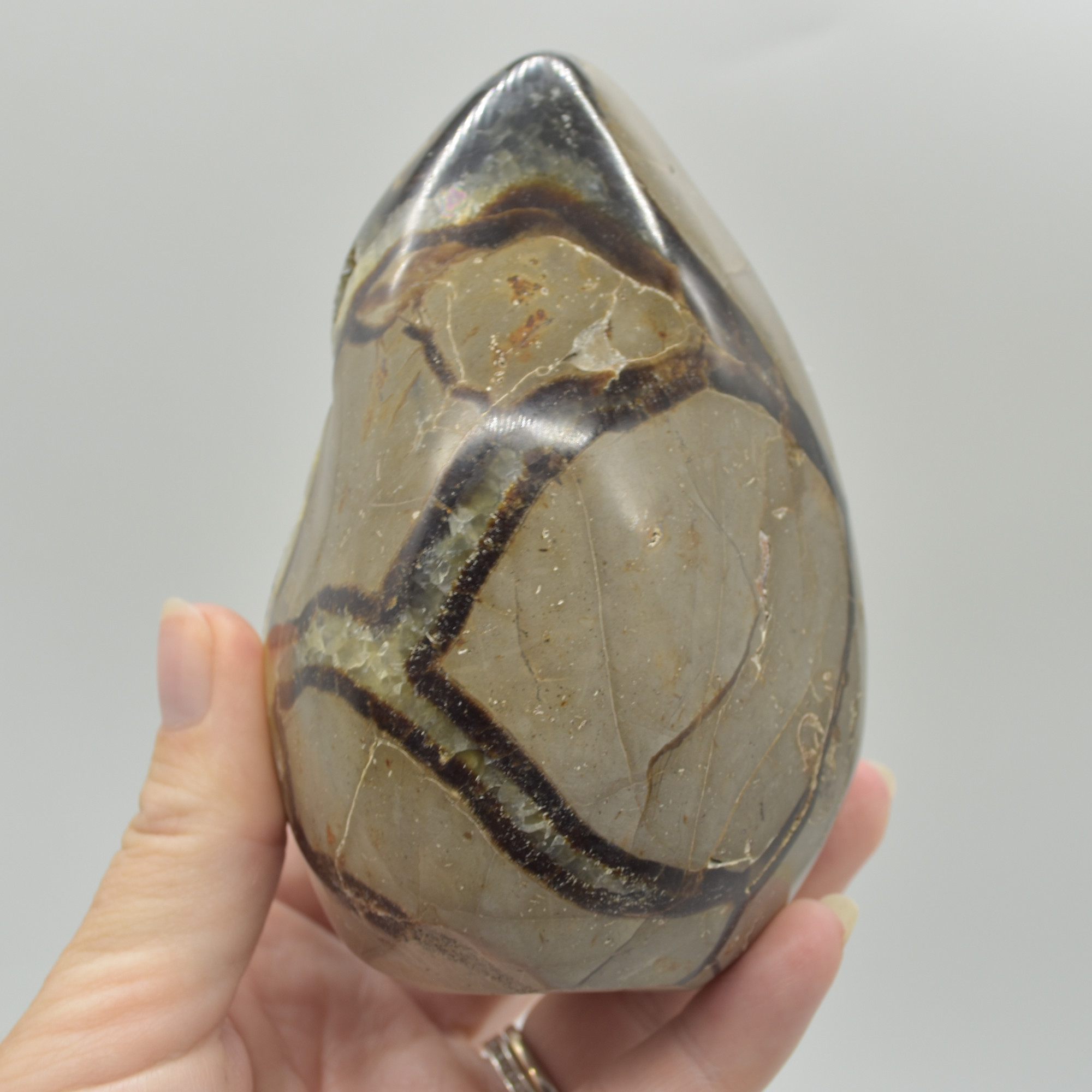 Septarian (AKA Dragon Stone) Crystal Freeform Egg - 11cm - 827 grams #03 - Image 5
