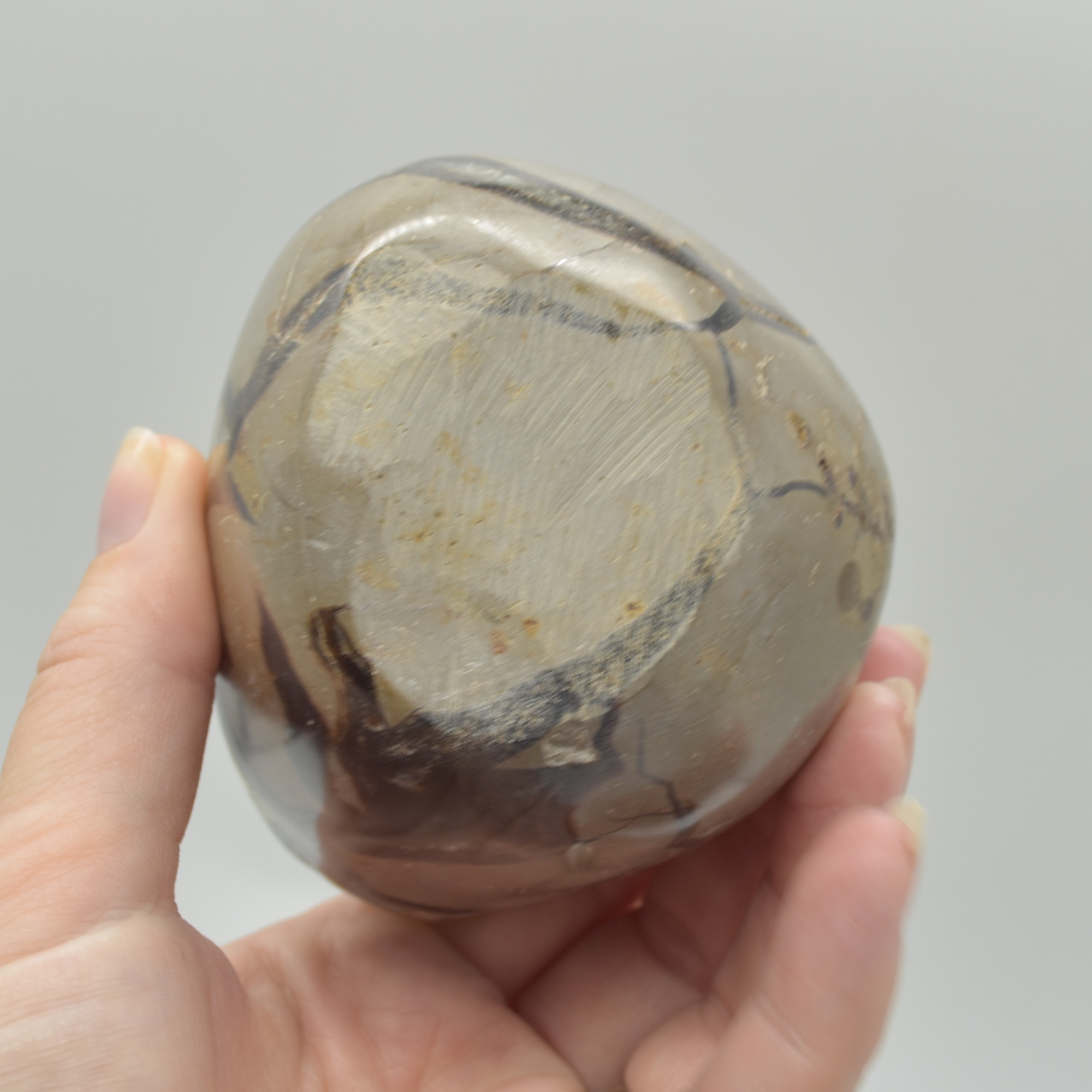 Septarian (AKA Dragon Stone) Crystal Freeform Egg - 11cm - 827 grams #03 - Image 6