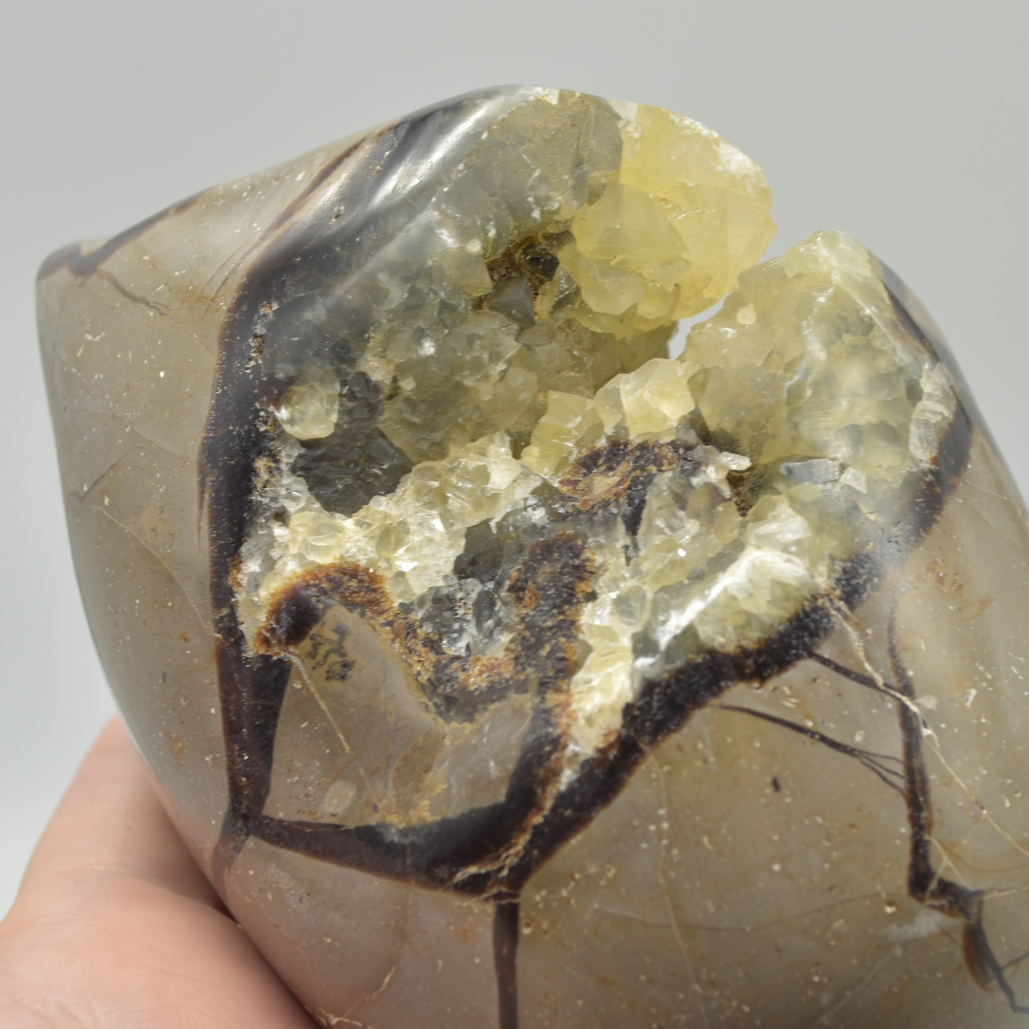 Septarian (AKA Dragon Stone) Crystal Freeform Egg - 11cm - 827 grams #03 - Image 8