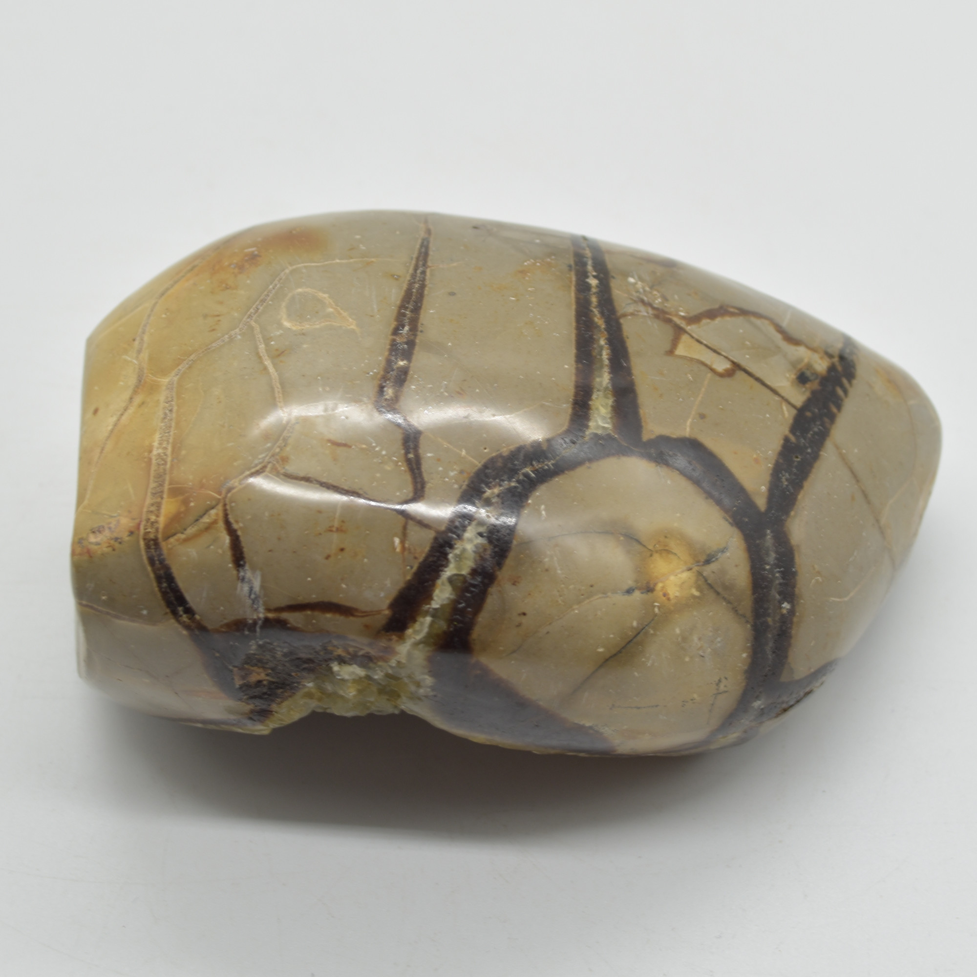 Septarian (AKA Dragon Stone) Crystal Freeform Egg - 13cm - 903 grams #07 - Image 2