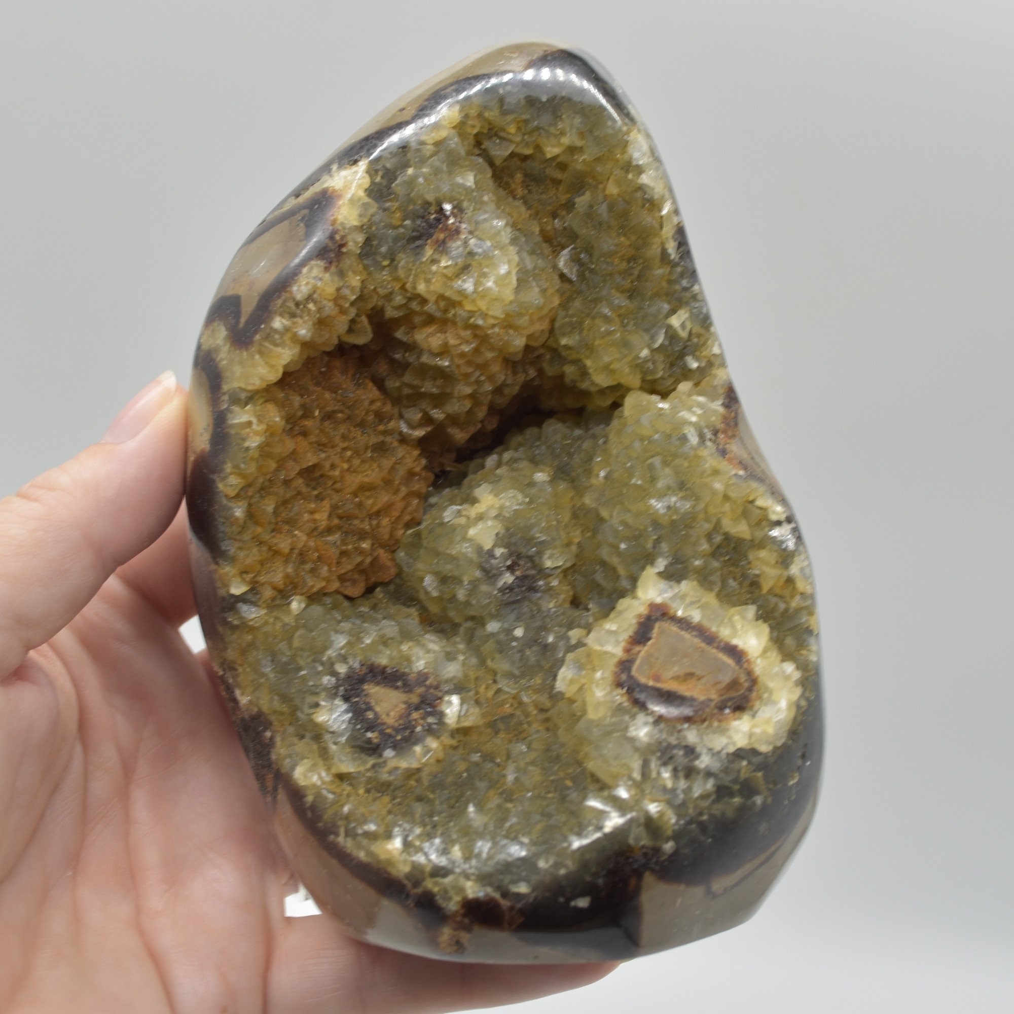 Septarian (AKA Dragon Stone) Crystal Freeform Egg - 13cm - 903 grams #07 - Image 3