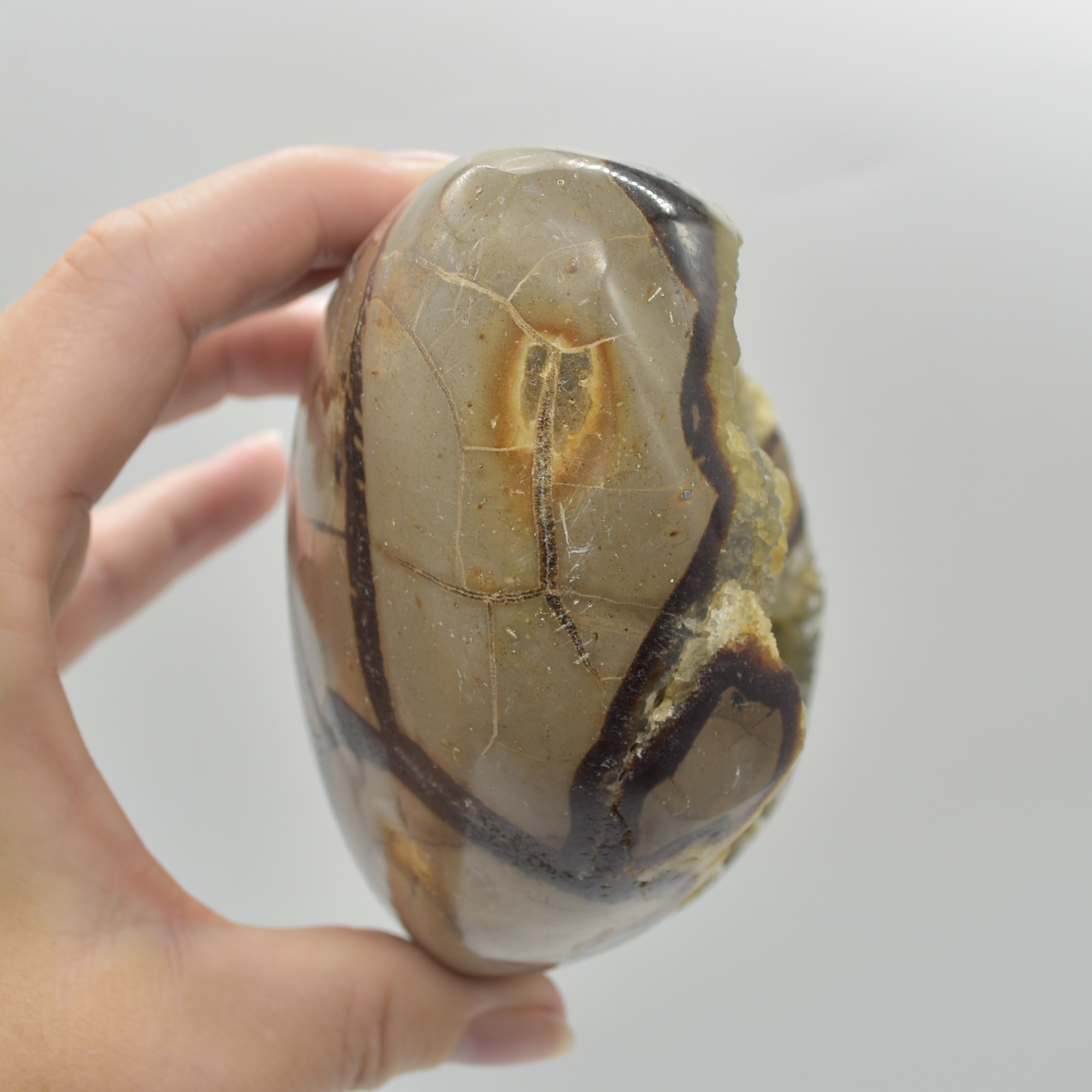 Septarian (AKA Dragon Stone) Crystal Freeform Egg - 13cm - 903 grams #07 - Image 5