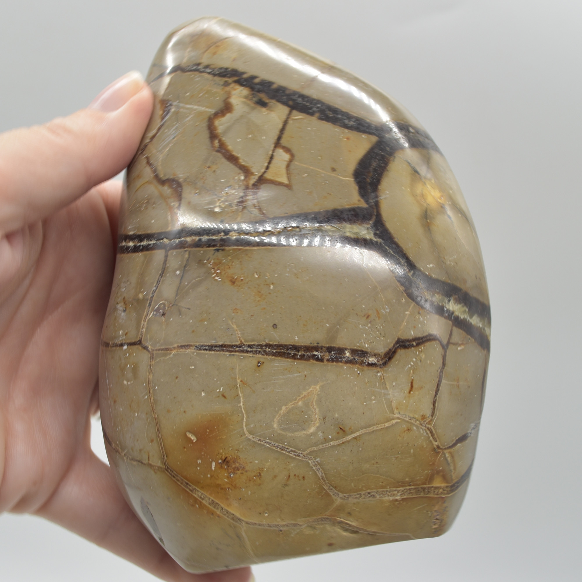 Septarian (AKA Dragon Stone) Crystal Freeform Egg - 13cm - 903 grams #07 - Image 6
