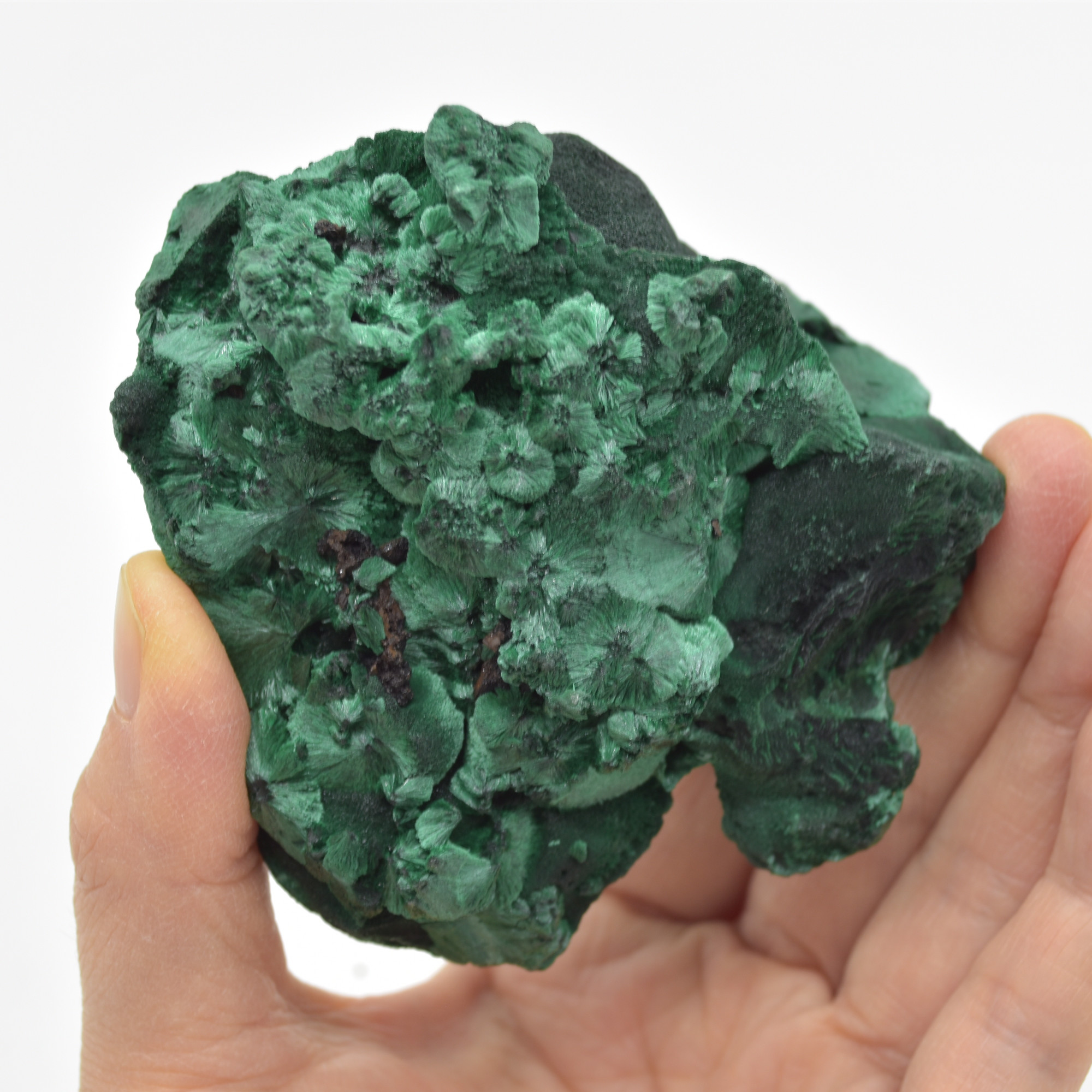 Yangchun Malachite Specimen - Botryoidal Malachite - Velvet Malachite - High Quality - 403 grams #06 - Image 3