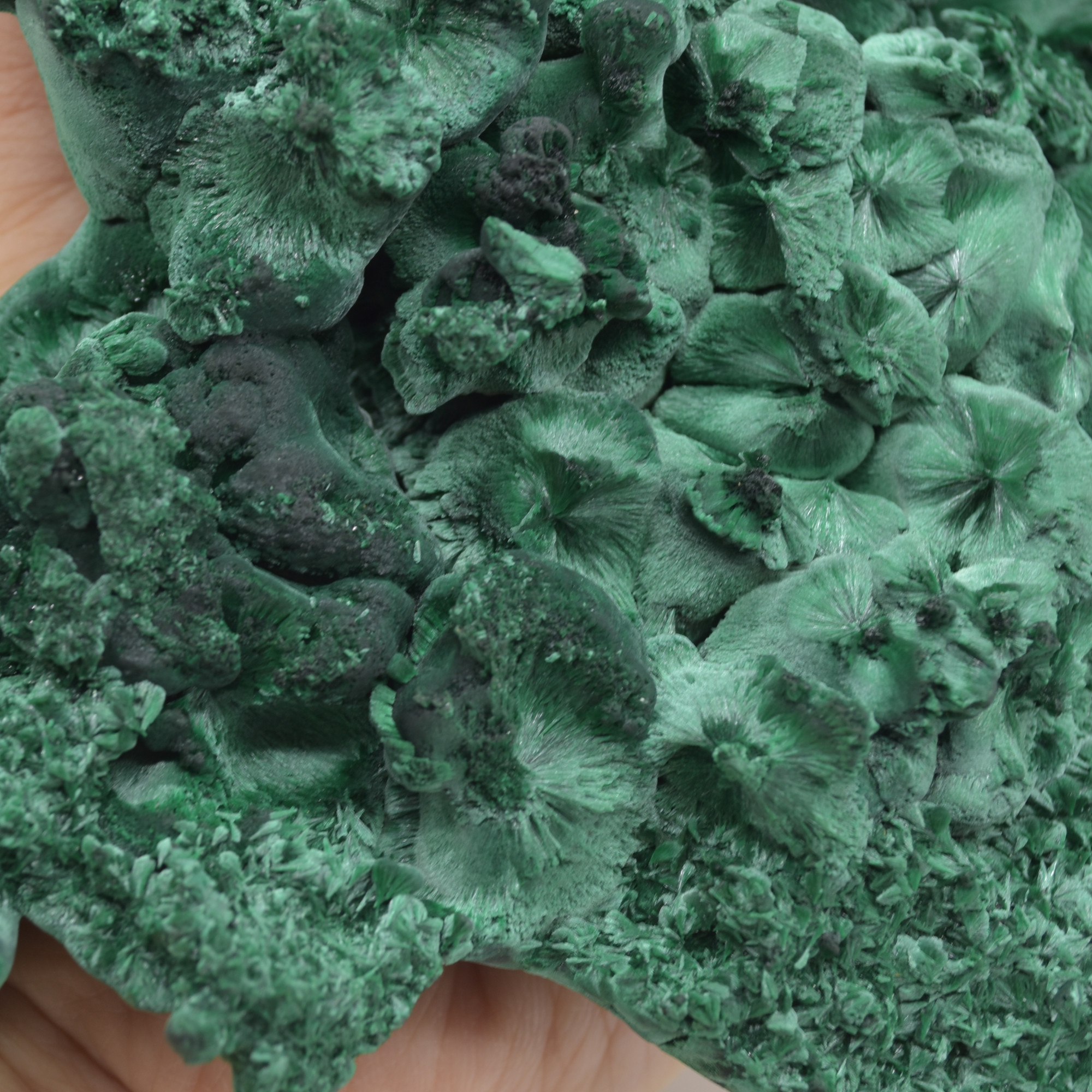 Yangchun Malachite Specimen - 1054 grams - Botryoidal Malachite - Velvet Malachite - High Quality - #02 - Image 5