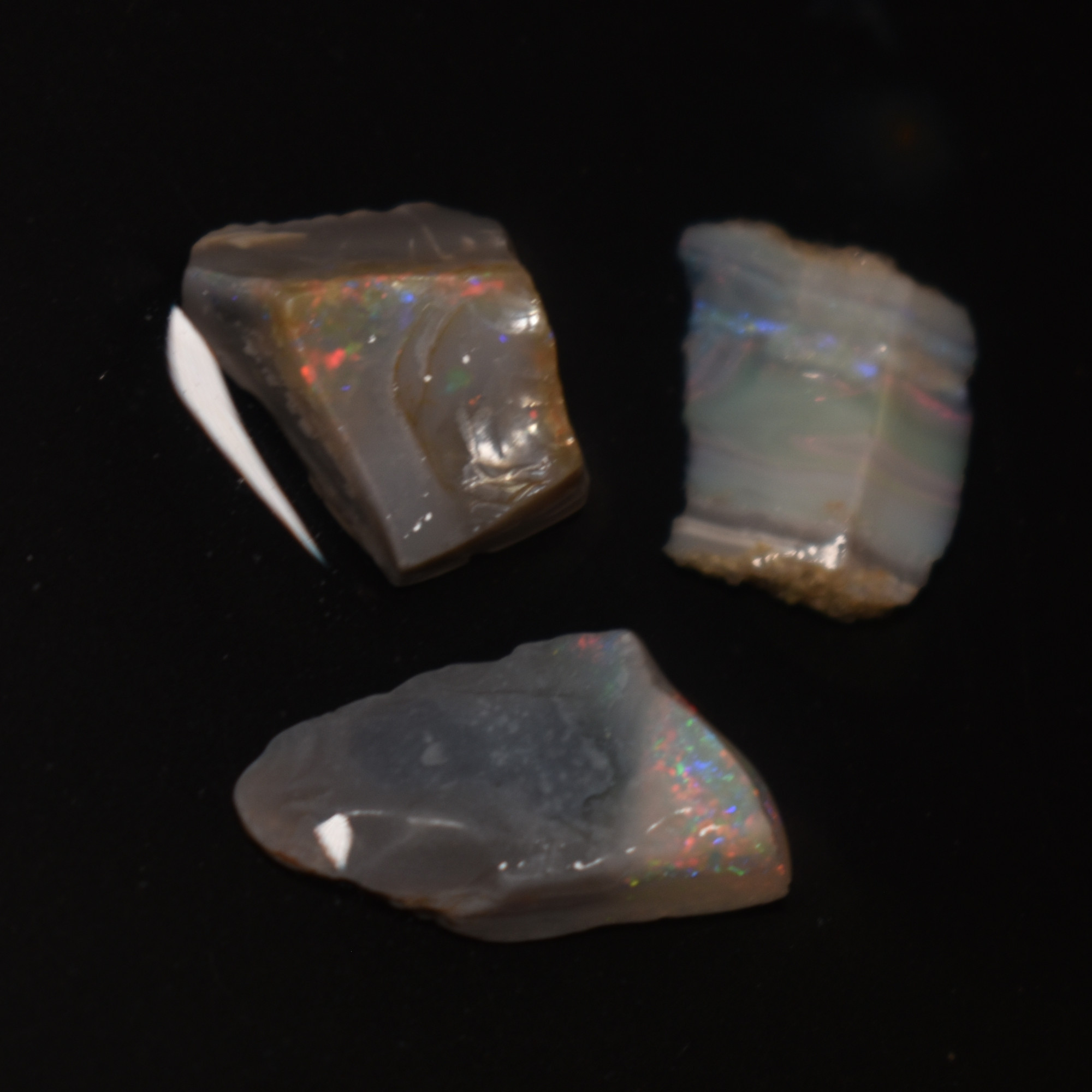 Mintabie Black Raw Rough Opals - 3 Count - Specimen from South Australia, 8.45ct weight #35