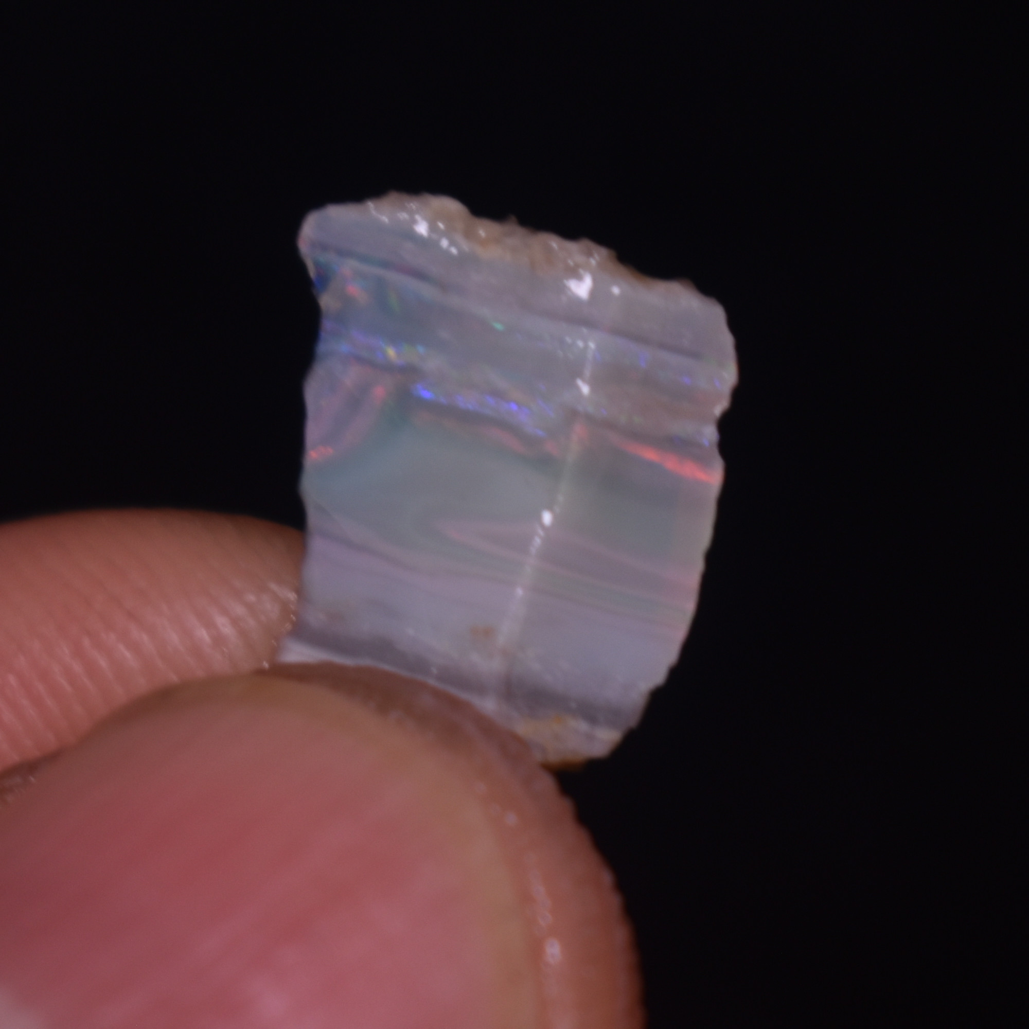 Mintabie Black Raw Rough Opals - 3 Count - Specimen from South Australia, 8.45ct weight #35 - Image 5