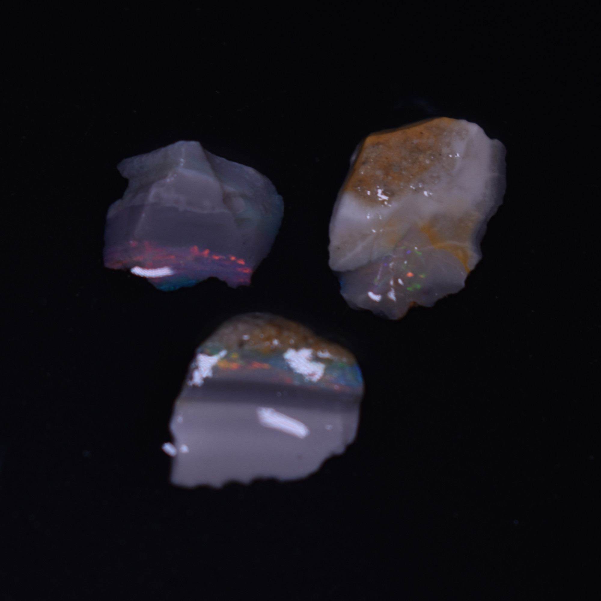 Mintabie Black Raw Rough Opals - 3 Count - Specimen from South Australia, 9.7ct weight #39