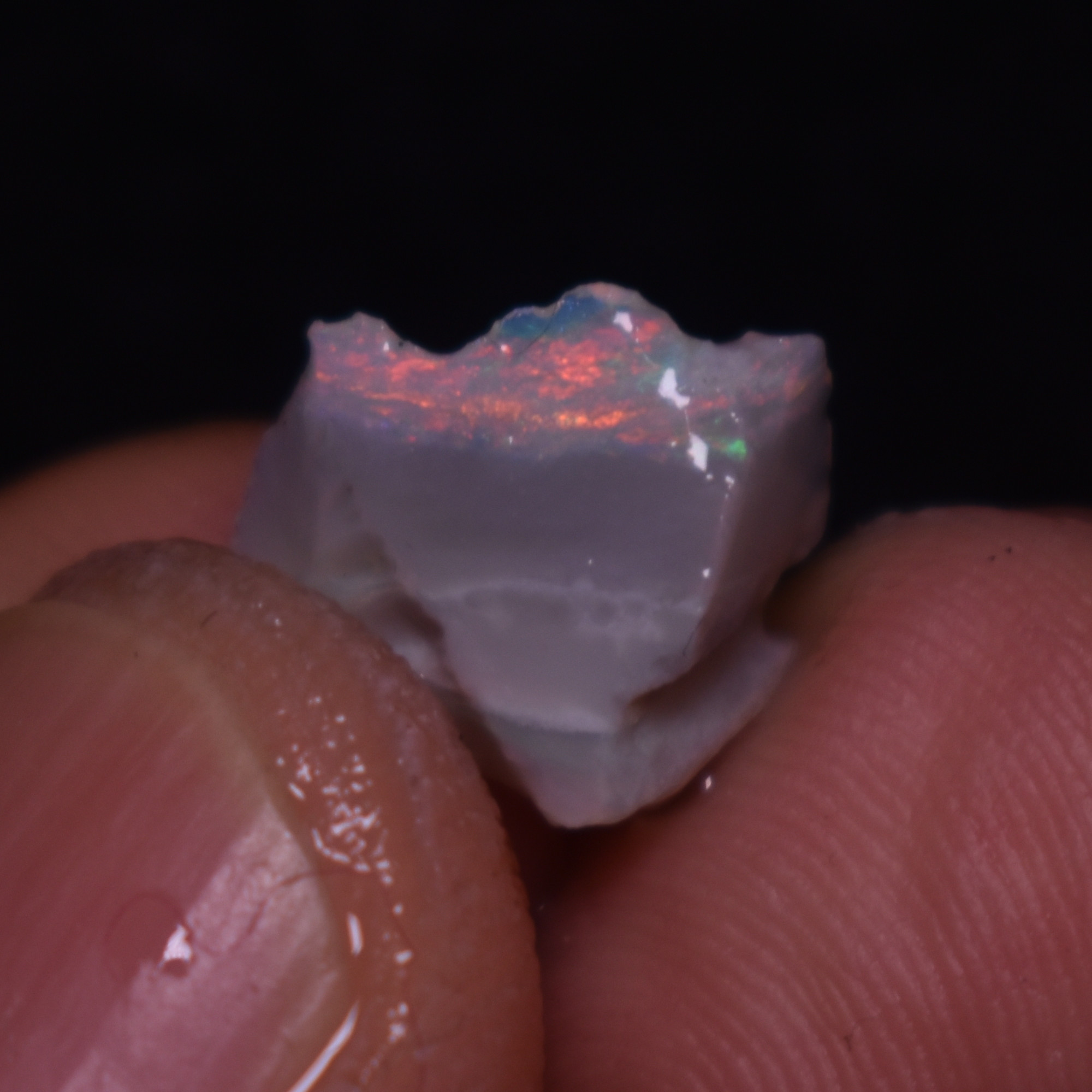 Mintabie Black Raw Rough Opals - 3 Count - Specimen from South Australia, 9.7ct weight #39 - Image 2