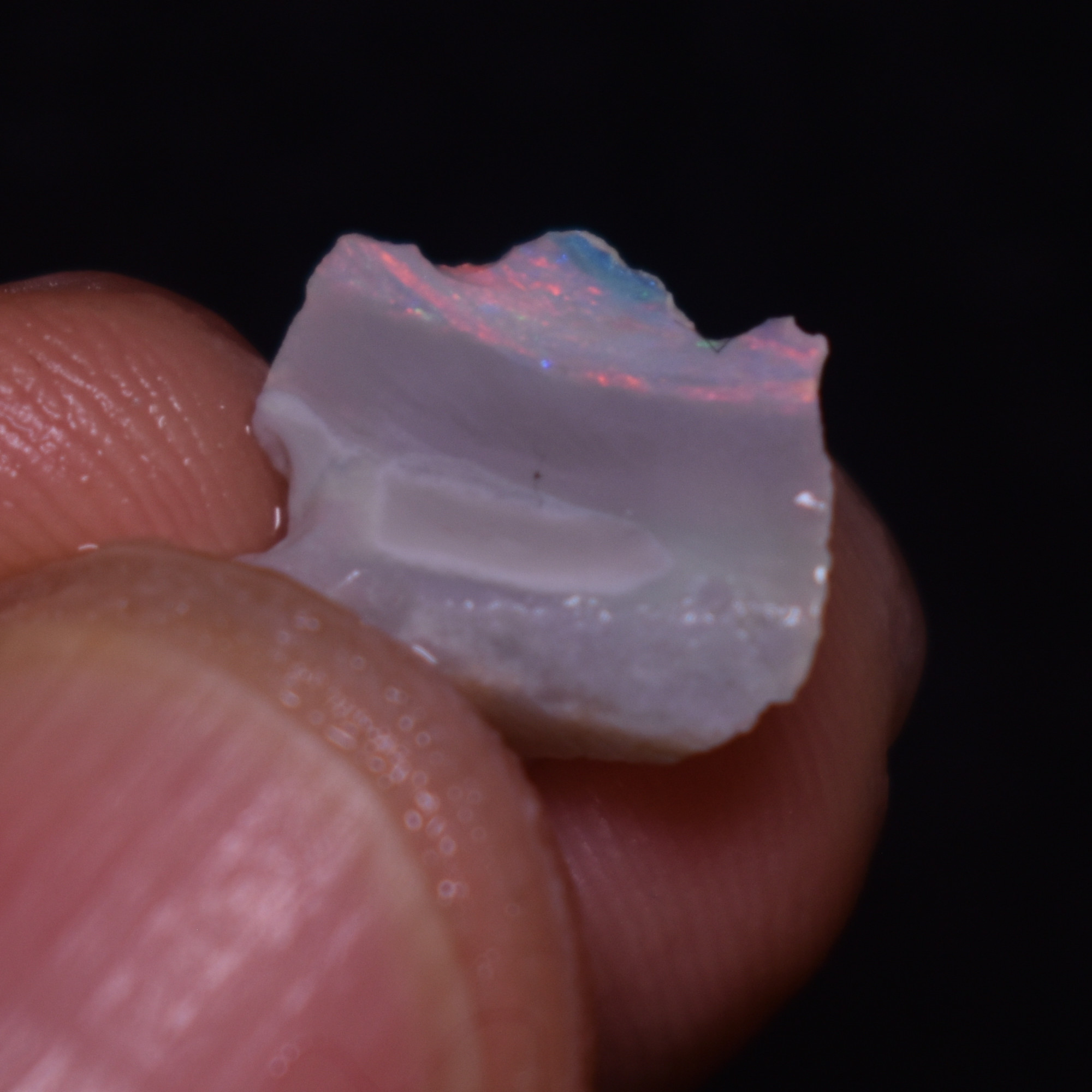 Mintabie Black Raw Rough Opals - 3 Count - Specimen from South Australia, 9.7ct weight #39 - Image 3