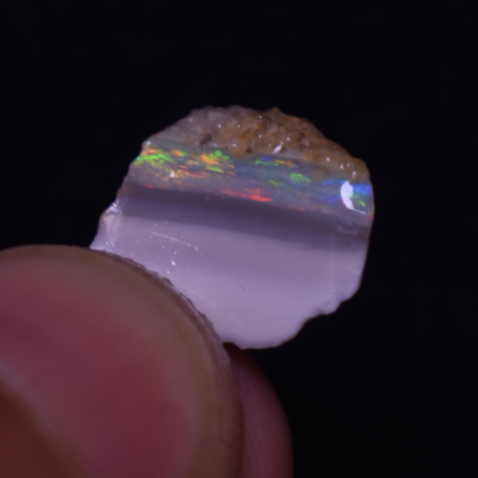 Mintabie Black Raw Rough Opals - 3 Count - Specimen from South Australia, 9.7ct weight #39 - Image 4