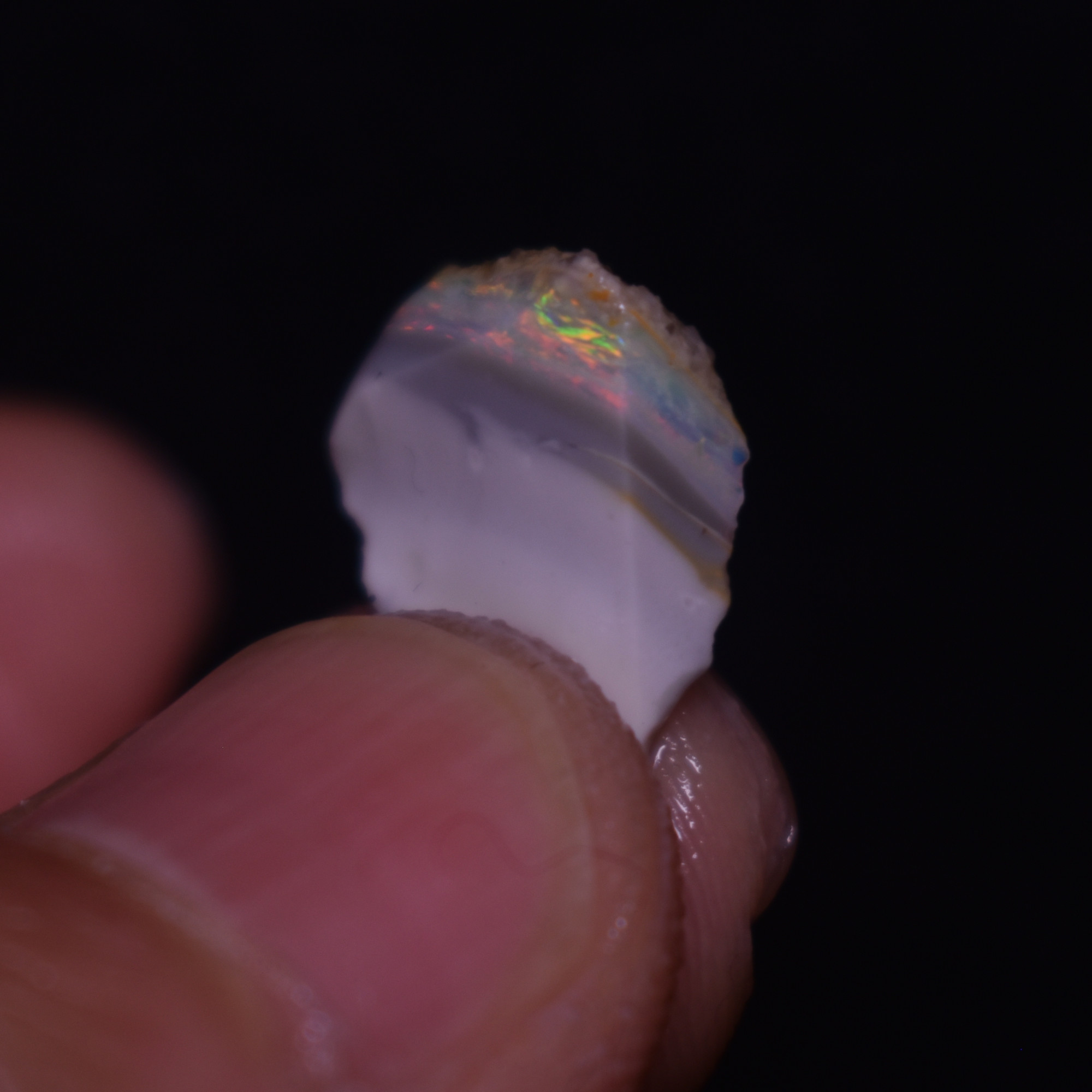 Mintabie Black Raw Rough Opals - 3 Count - Specimen from South Australia, 9.7ct weight #39 - Image 5