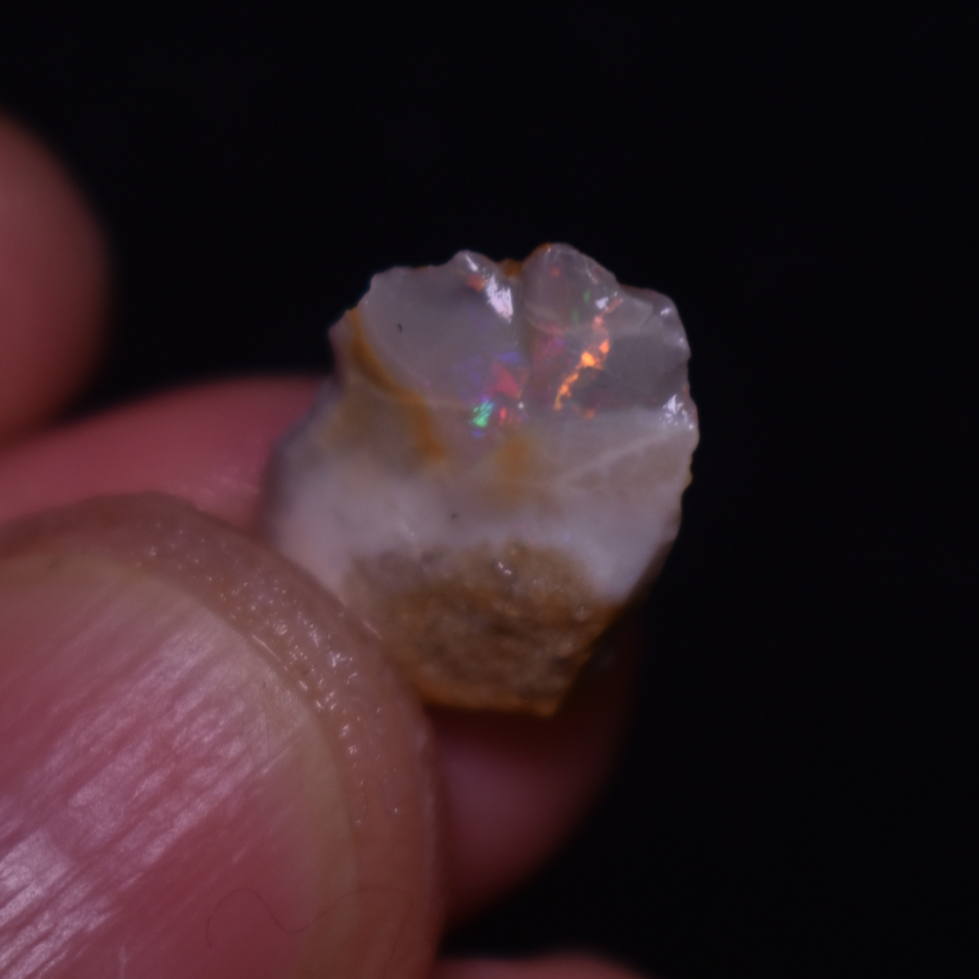 Mintabie Black Raw Rough Opals - 3 Count - Specimen from South Australia, 9.7ct weight #39 - Image 6