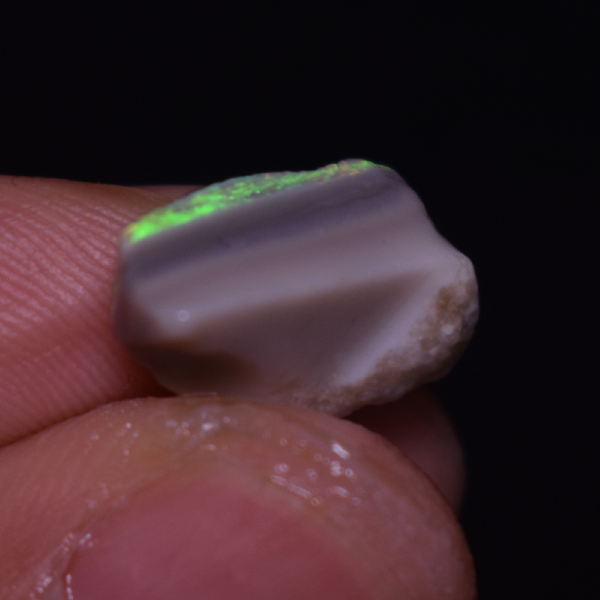 Mintabie Semi-Black Raw Rough Opals - 3 Count - Specimen from South Australia, 20ct weight #50 - Image 3