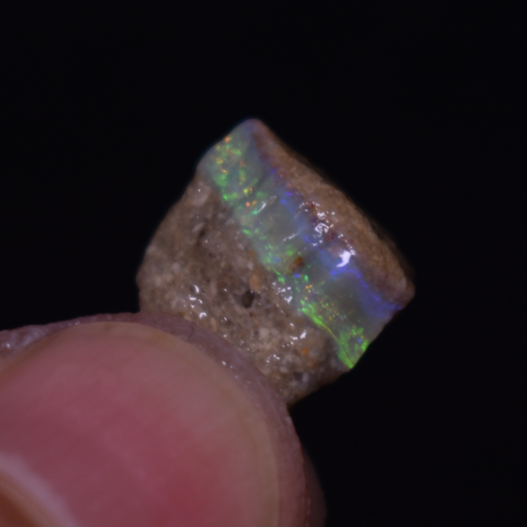 Mintabie Semi-Black Raw Rough Opals - 3 Count - Specimen from South Australia, 20ct weight #50 - Image 4