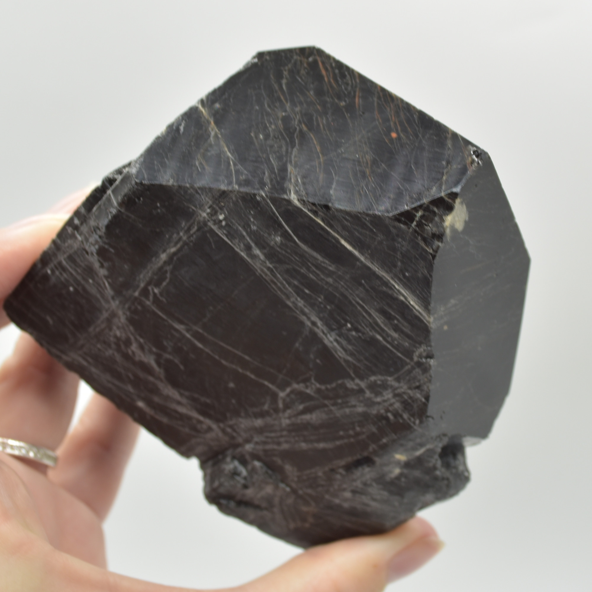 Cut Base Top Polished Black Tourmaline Crystal Freeform Point - 653 grams - #01 - Image 7